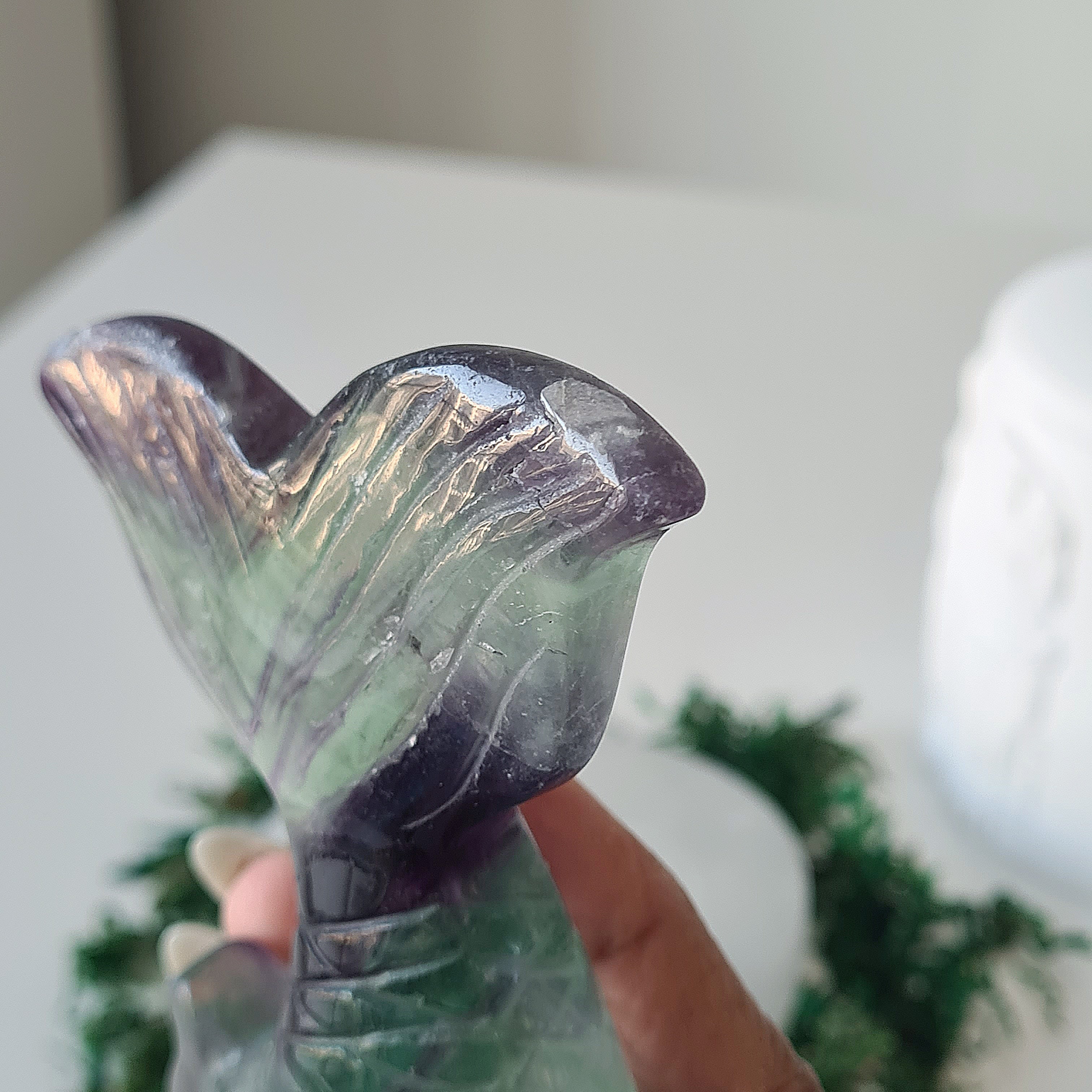 Siren & Mermaid Tail | 2 | Fluorite