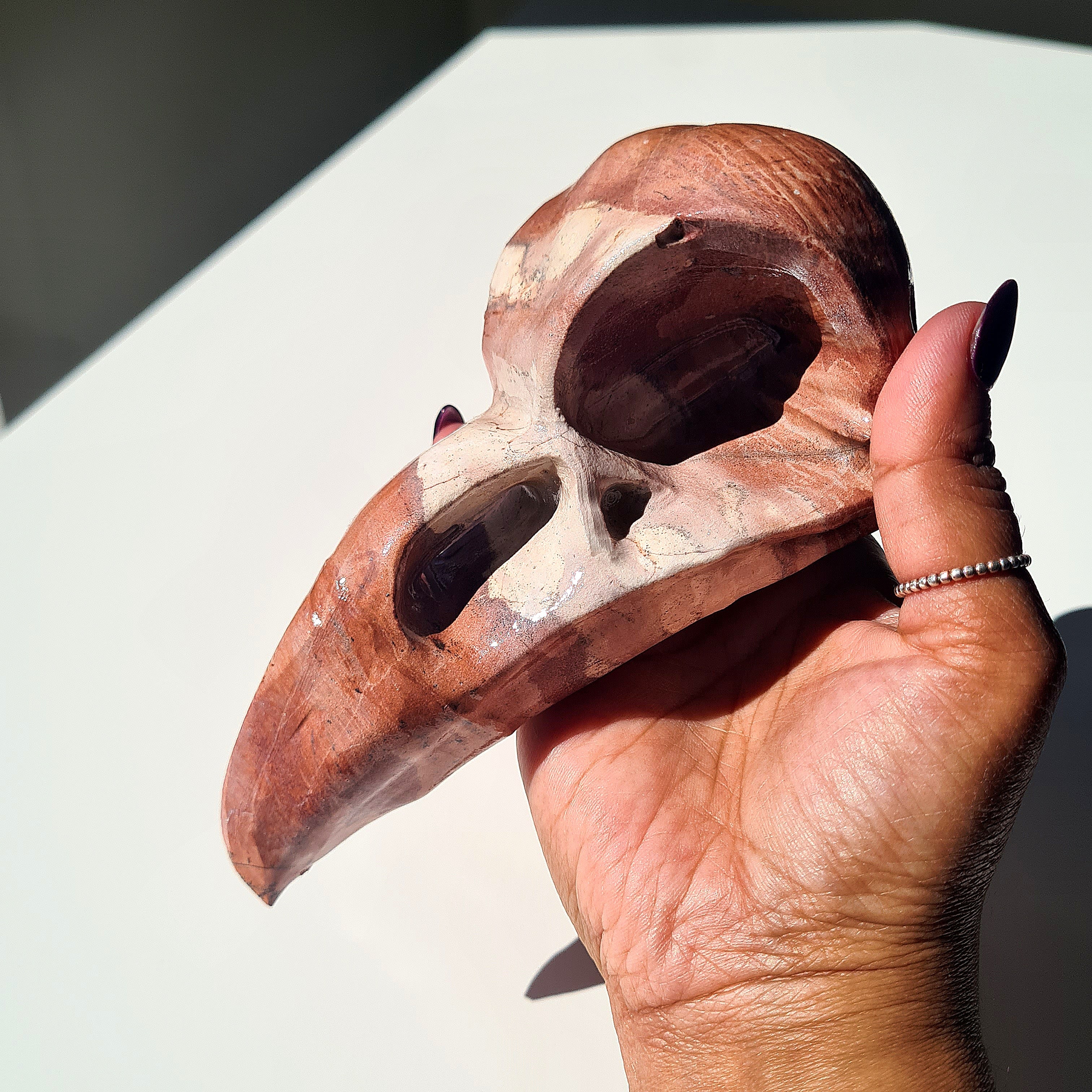 Mystic Picture Jasper Raven Skull | 13 cm