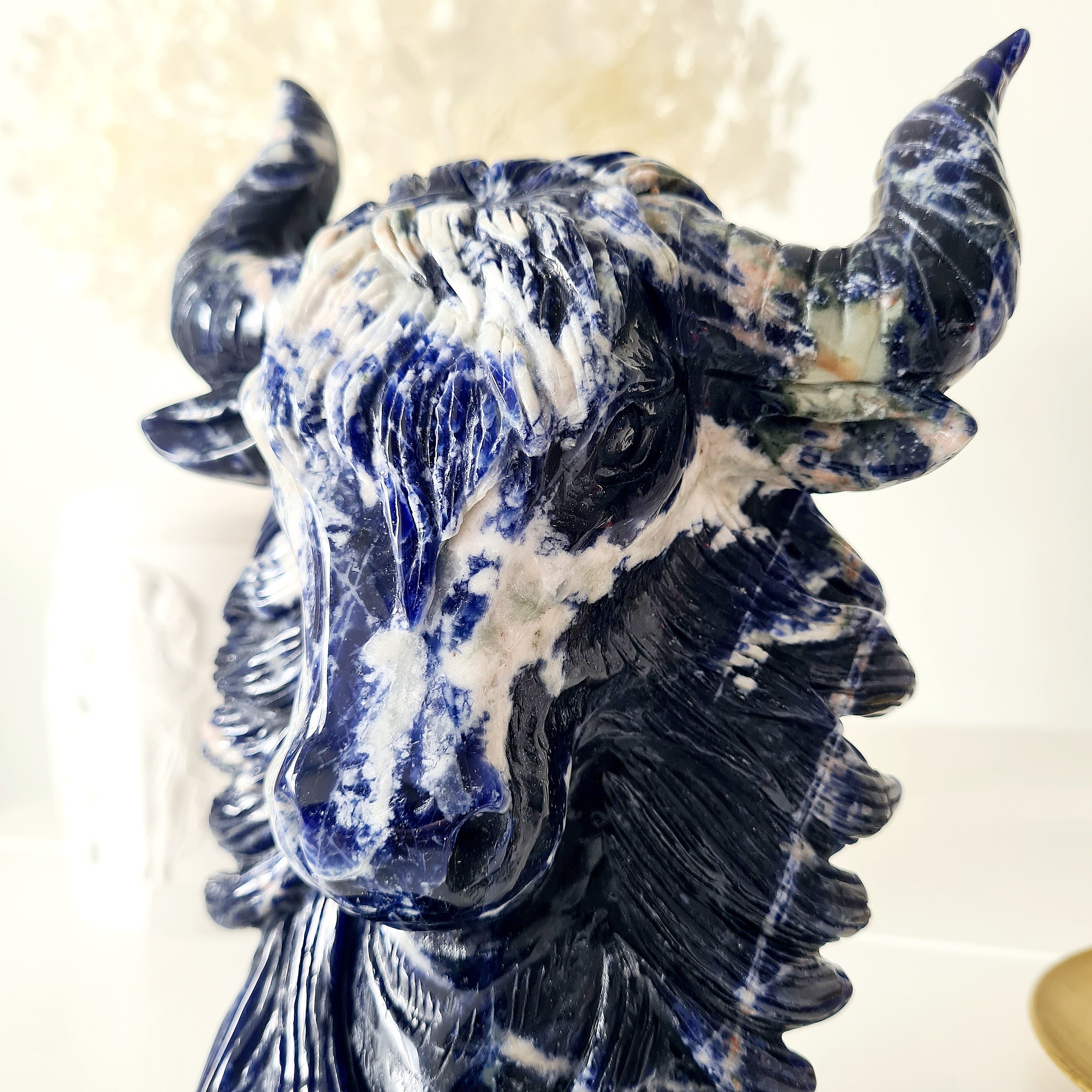 𦬠Sodalite Bison | Strength & Power | 1.6 kg