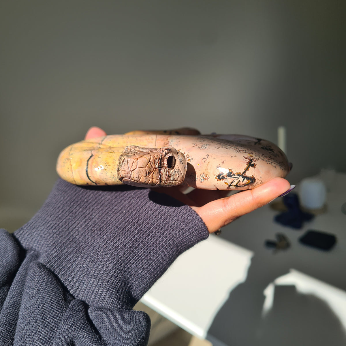 Picture Jasper Serpent | A | 538 g | 16 cm