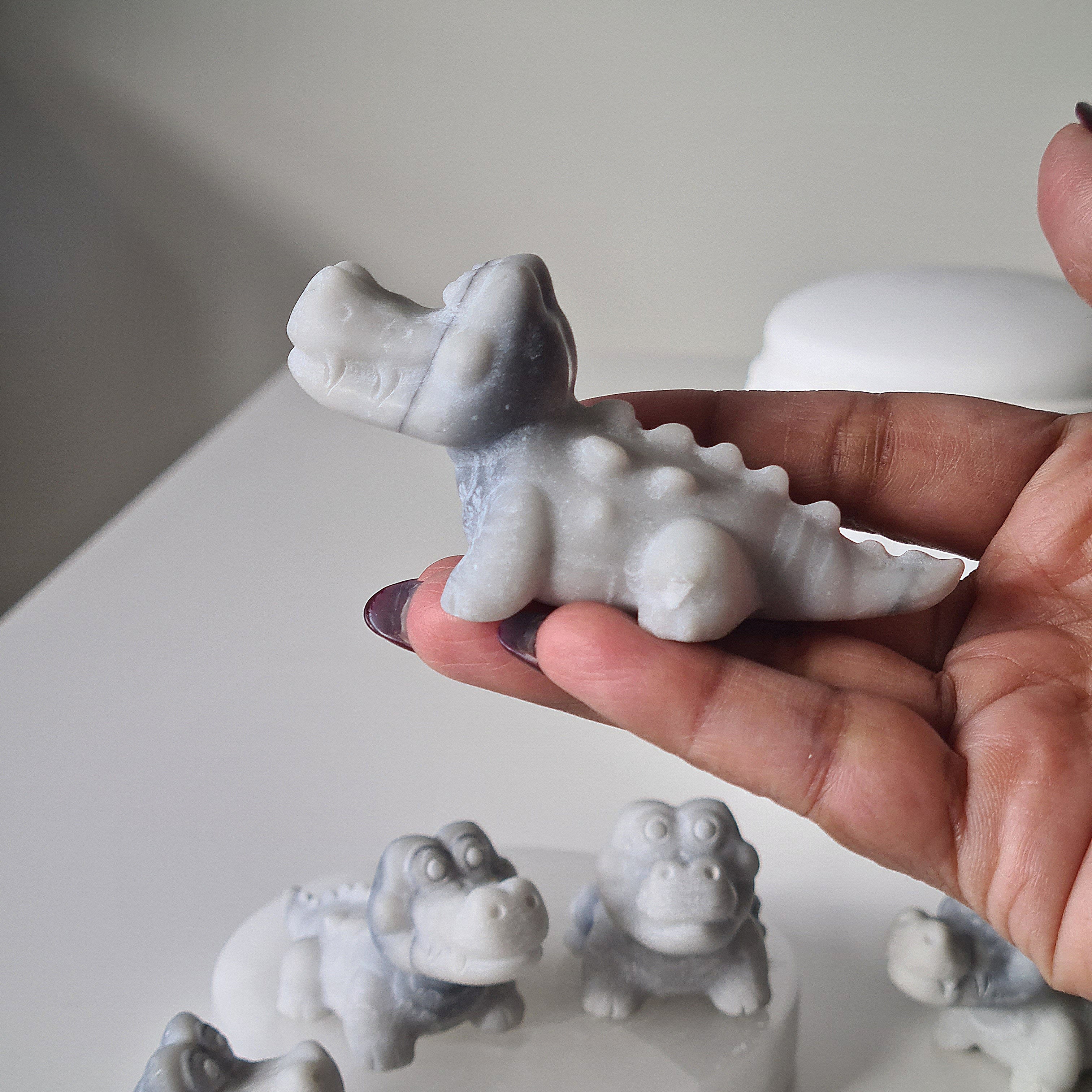 Tai Chi Croc | 1 Piece