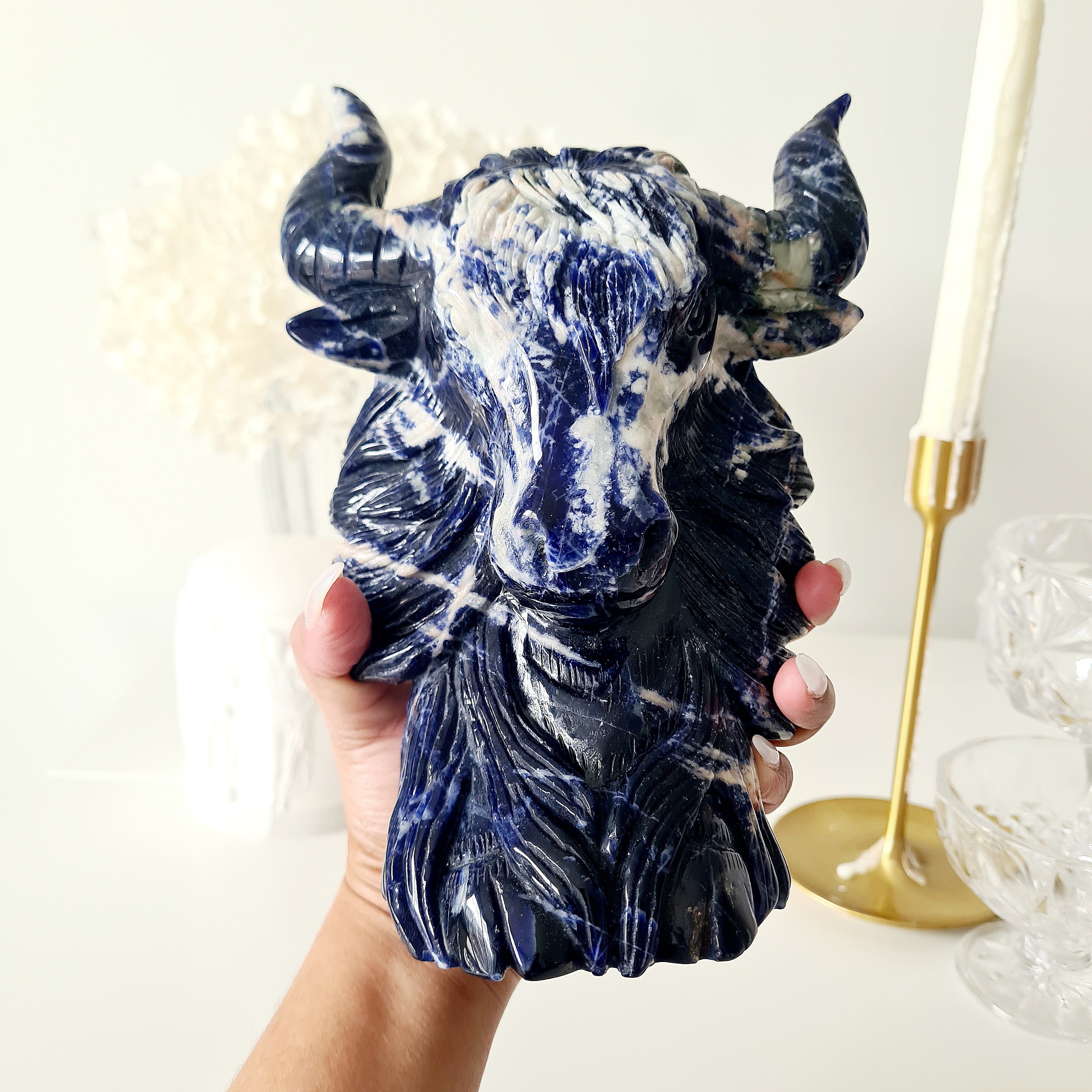 𦬠Sodalite Bison | Strength & Power | 1.6 kg