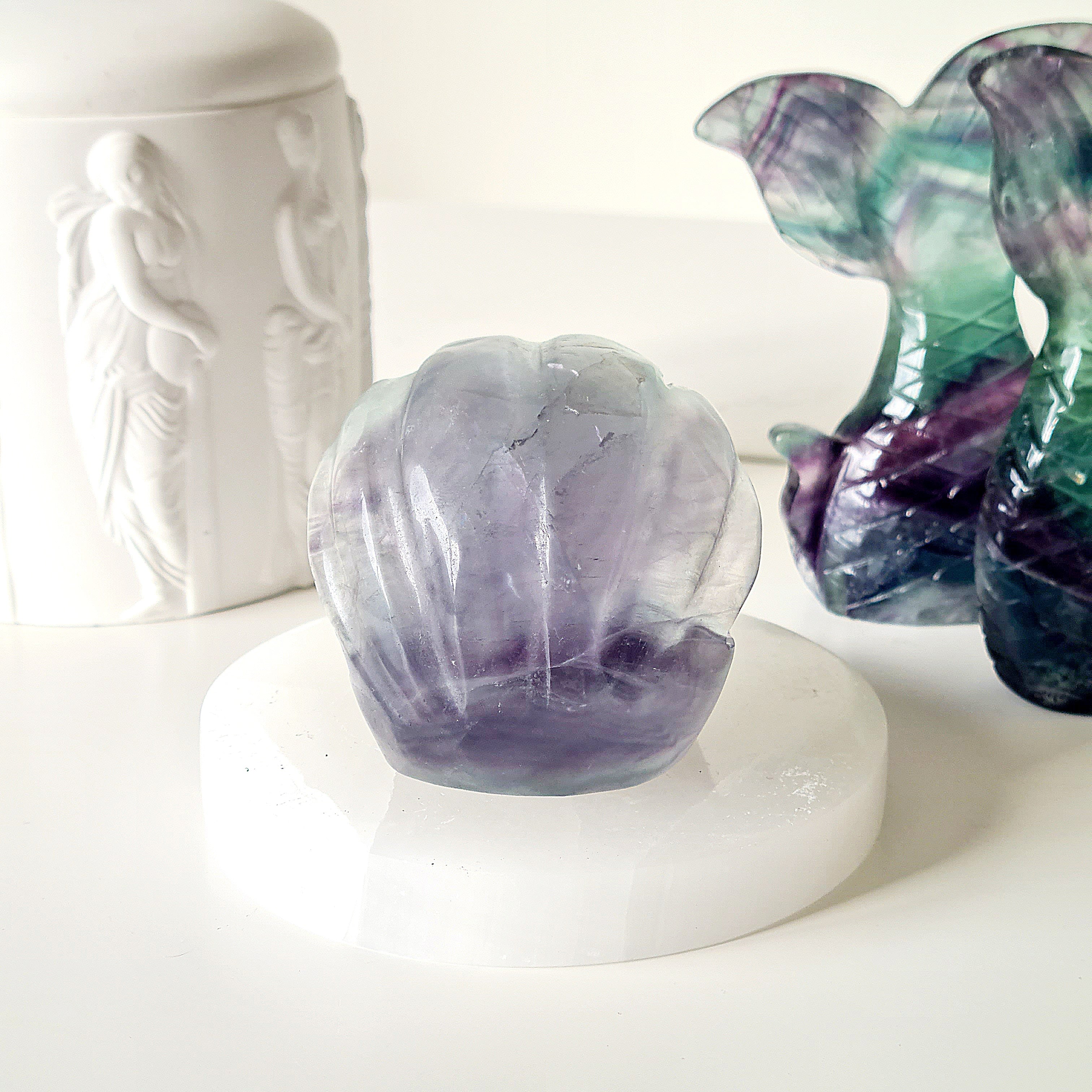 Mermaids Treasure Shell π | 4 | 6.5 cm