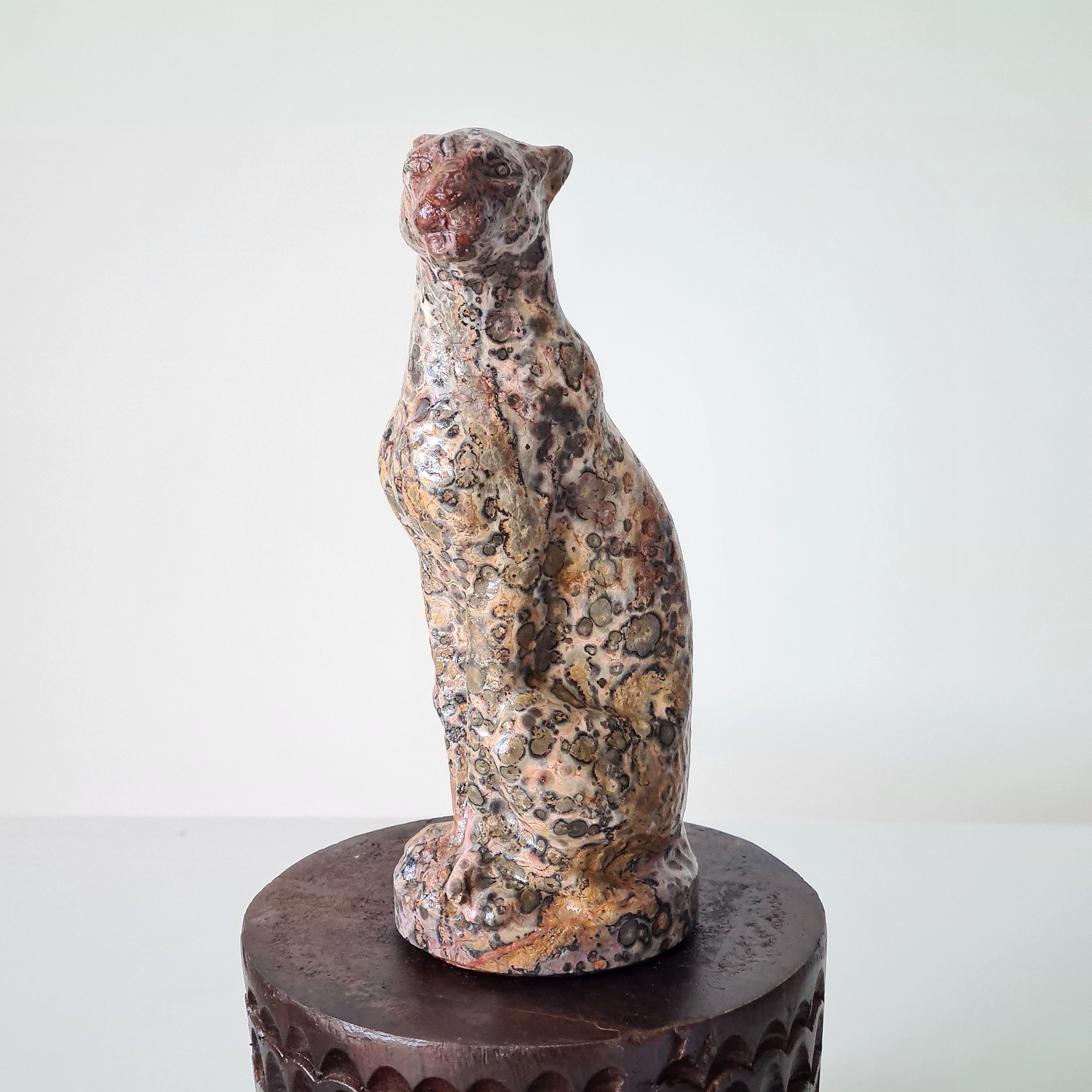 Jasper Leopard π | Earth Energy