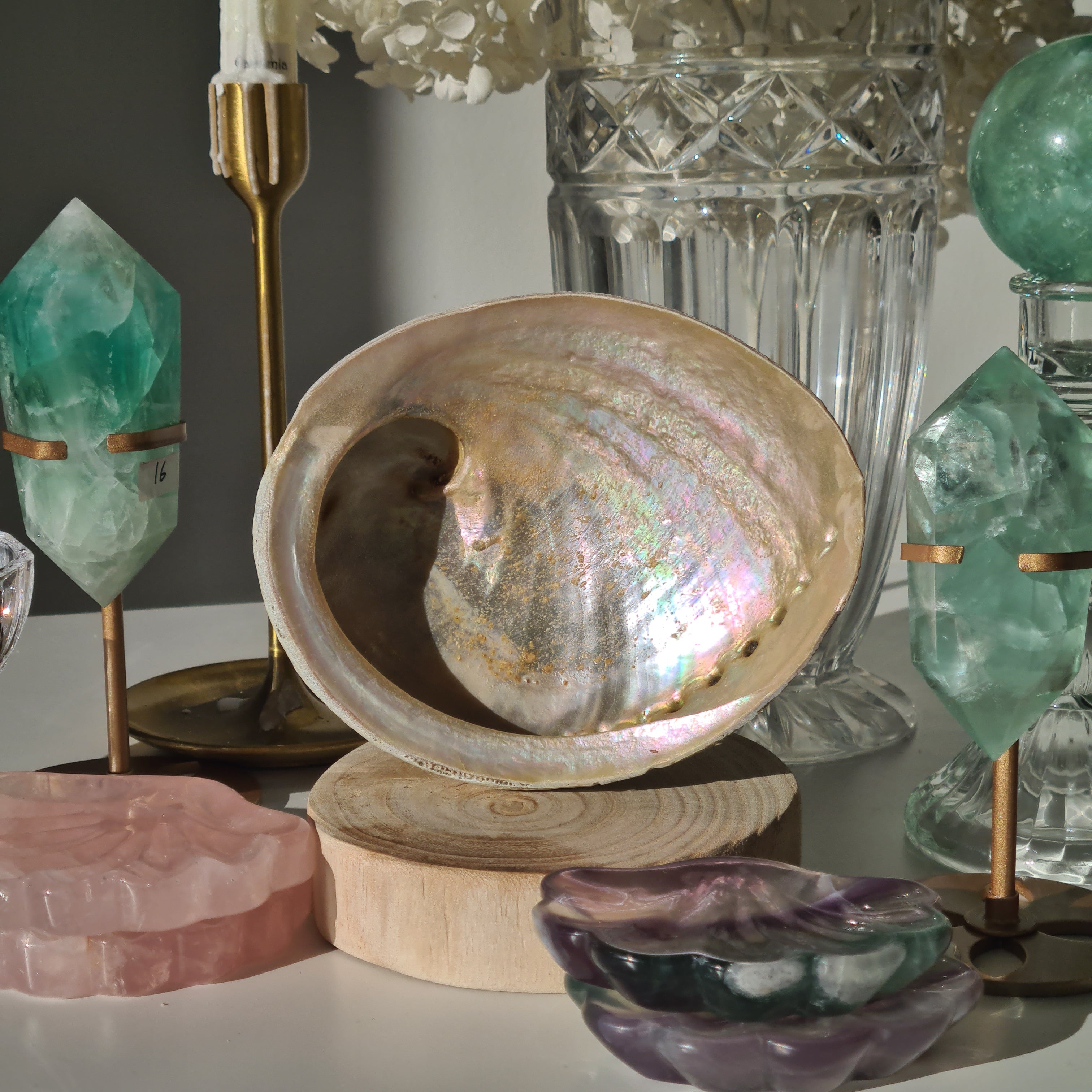 Abalone Shell π | C | Large