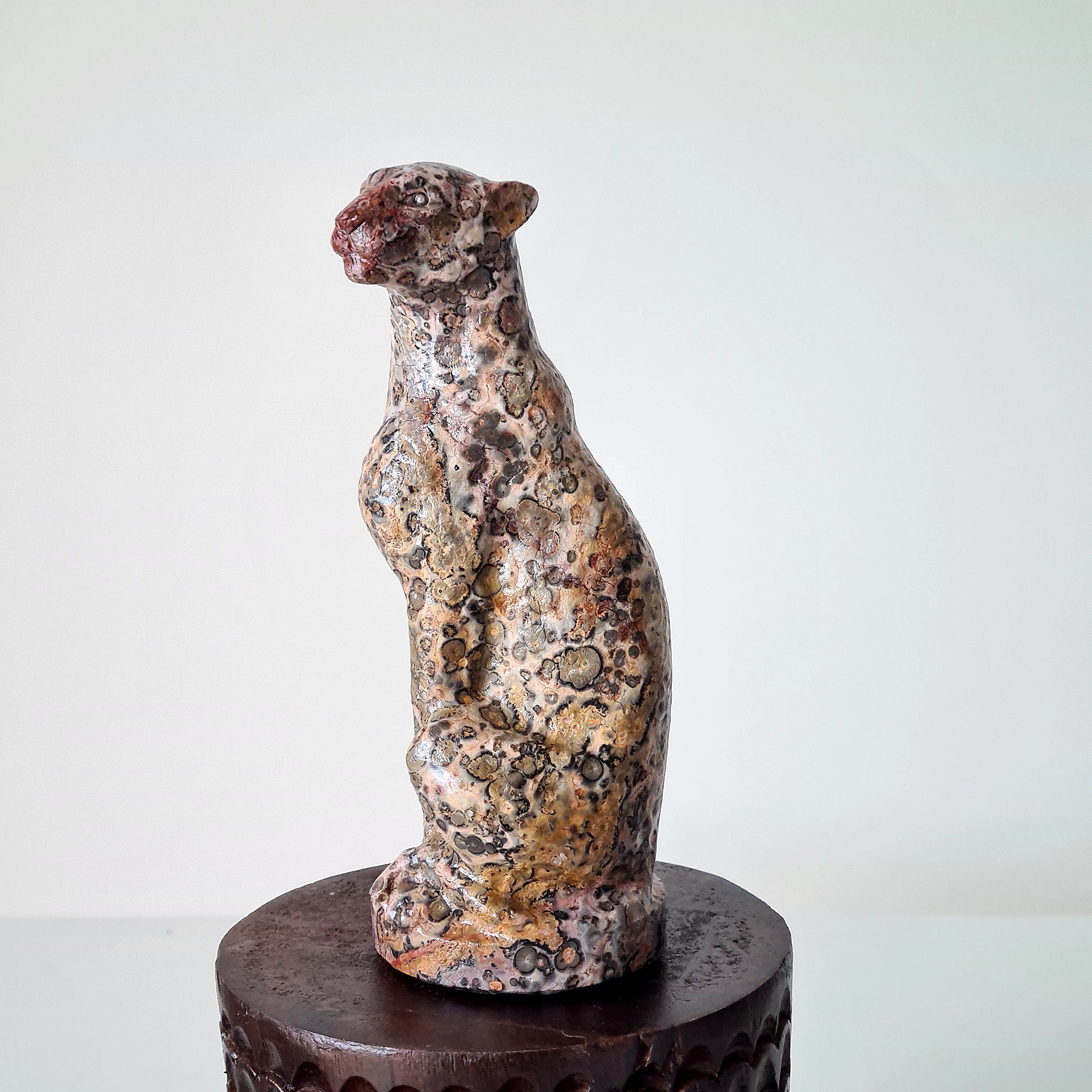 Jasper Leopard π | Earth Energy