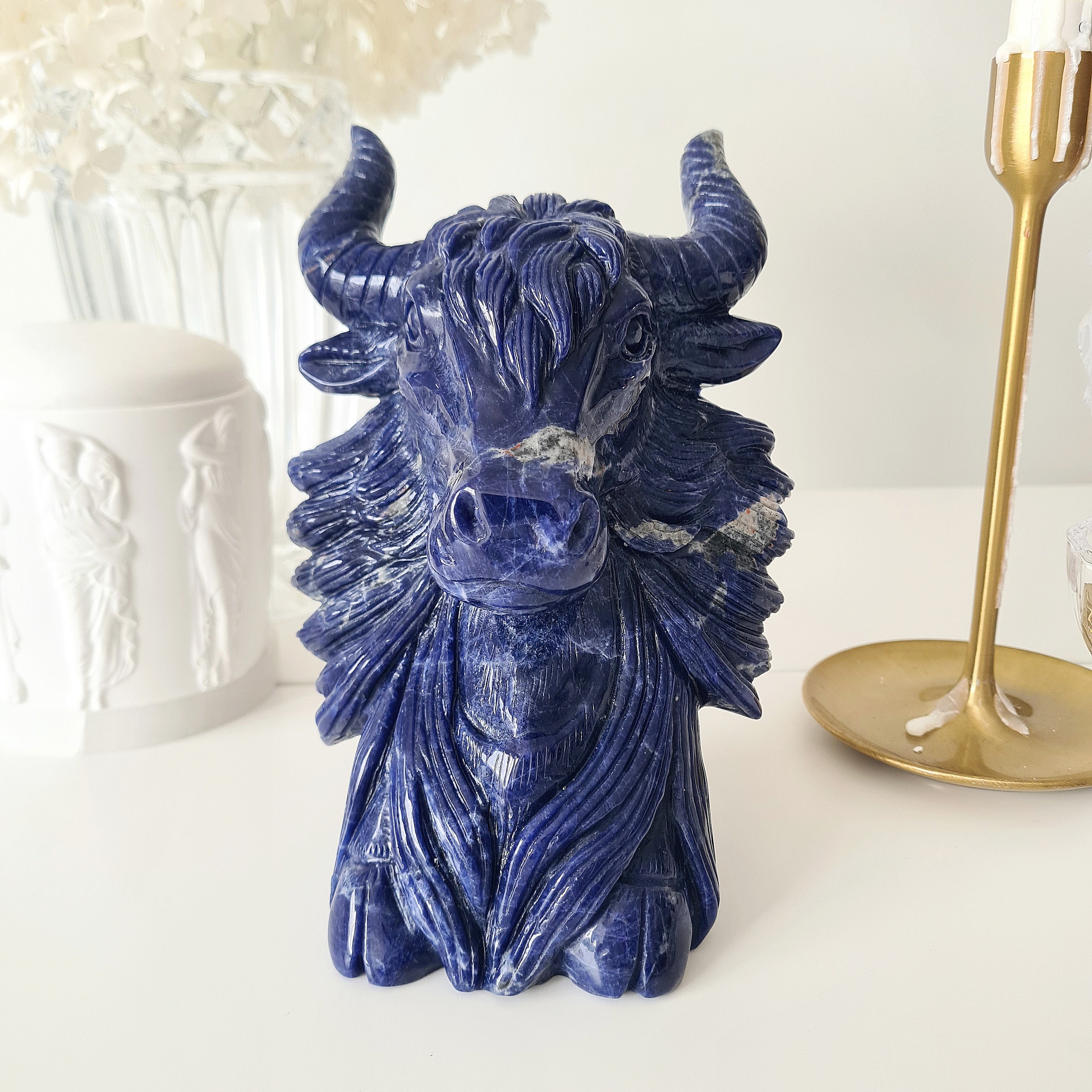 𦬠Sodalite Bison | Strength & Power | 1.9 kg