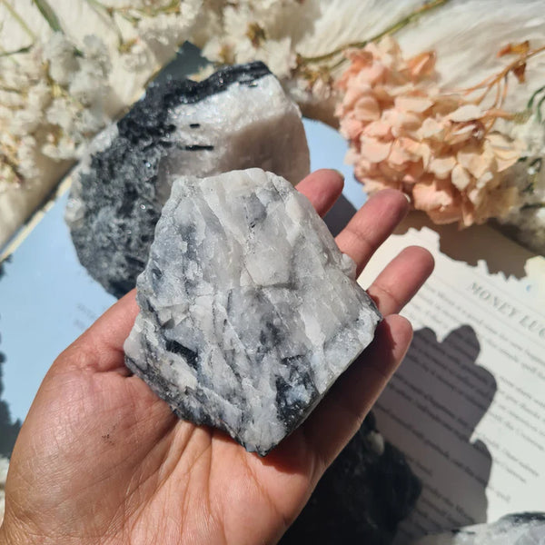Tourmalinated Quartz Crystal Meaning & Properties