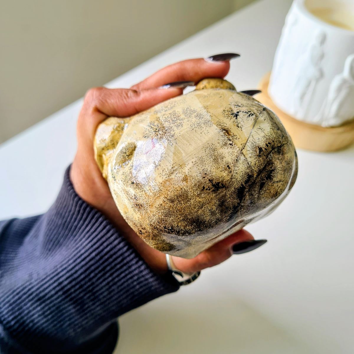 Picture Jasper Raven Skull | 14.5 cm
