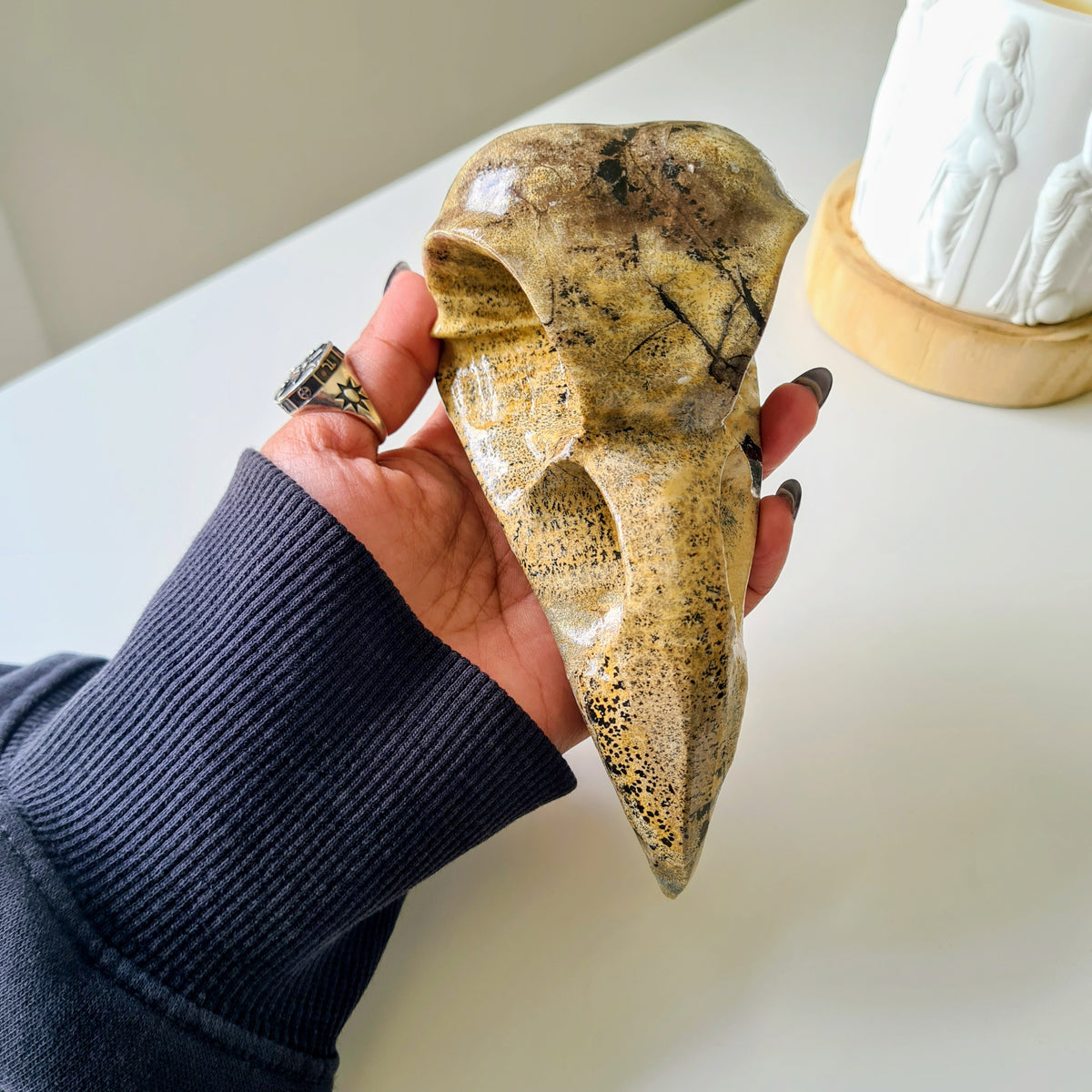 Picture Jasper Raven Skull | 14.5 cm