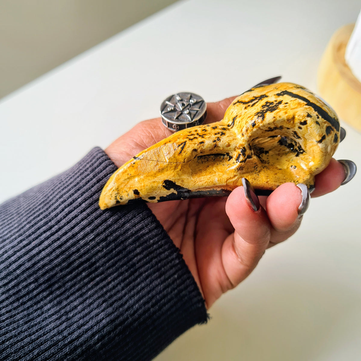 Picture Jasper Raven Skull | Appx 7 cm | Mini
