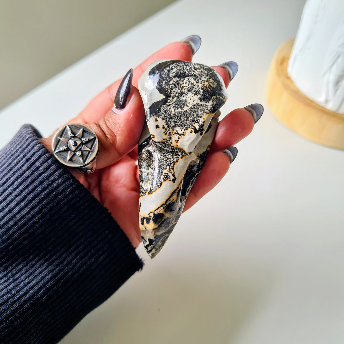 Picture Jasper Raven Skull | Appx 7 cm | Mini