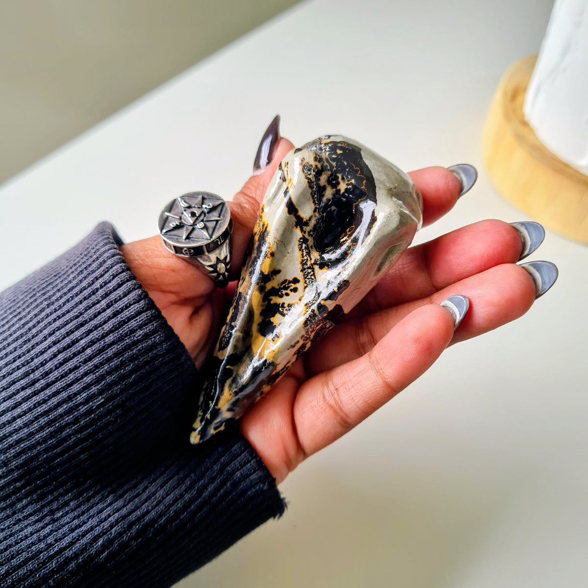 Picture Jasper Raven Skull | Appx 7 cm | Mini