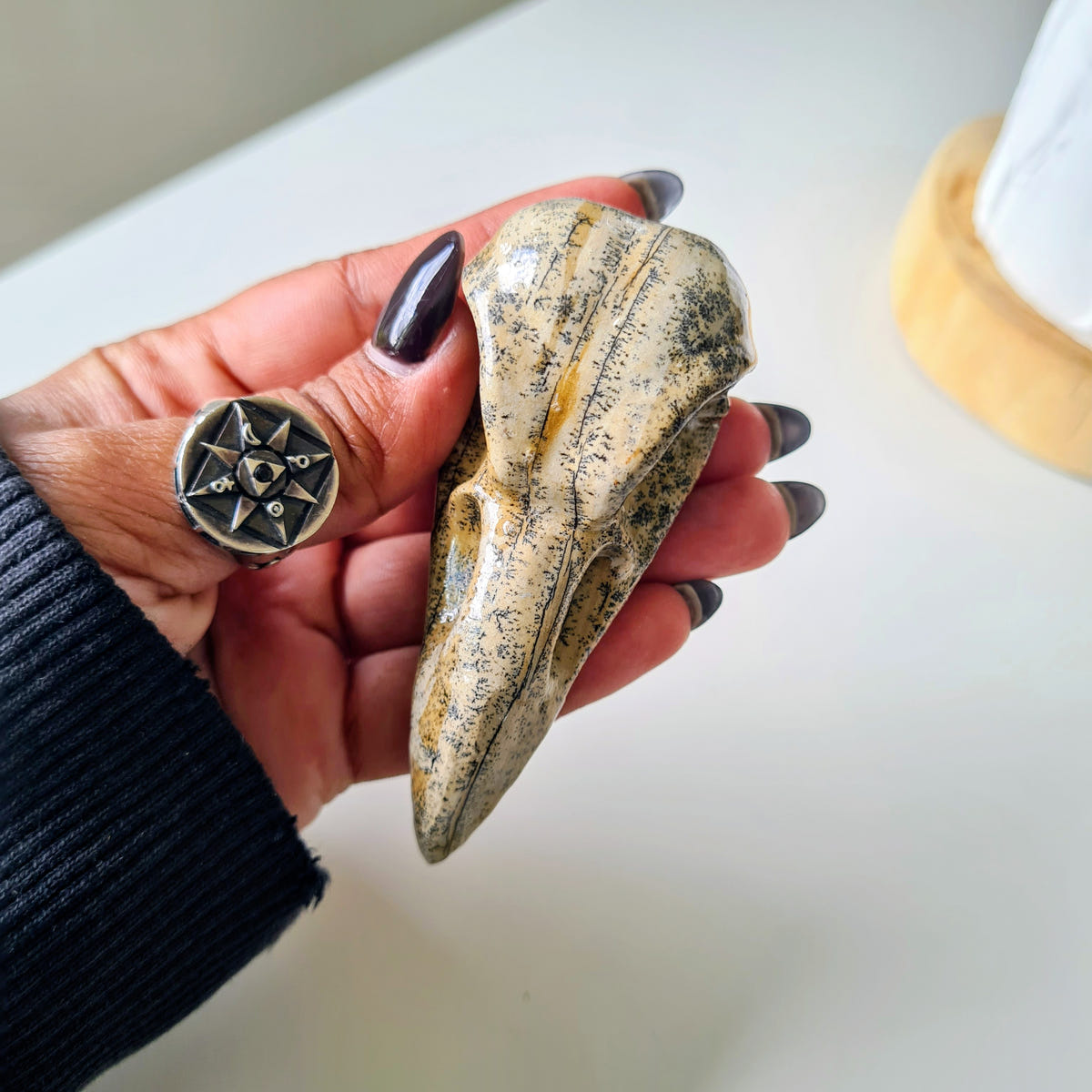 Picture Jasper Raven Skull | Appx 7 cm | Mini