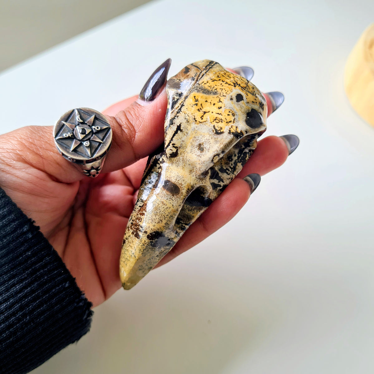 Picture Jasper Raven Skull | Appx 7 cm | Mini