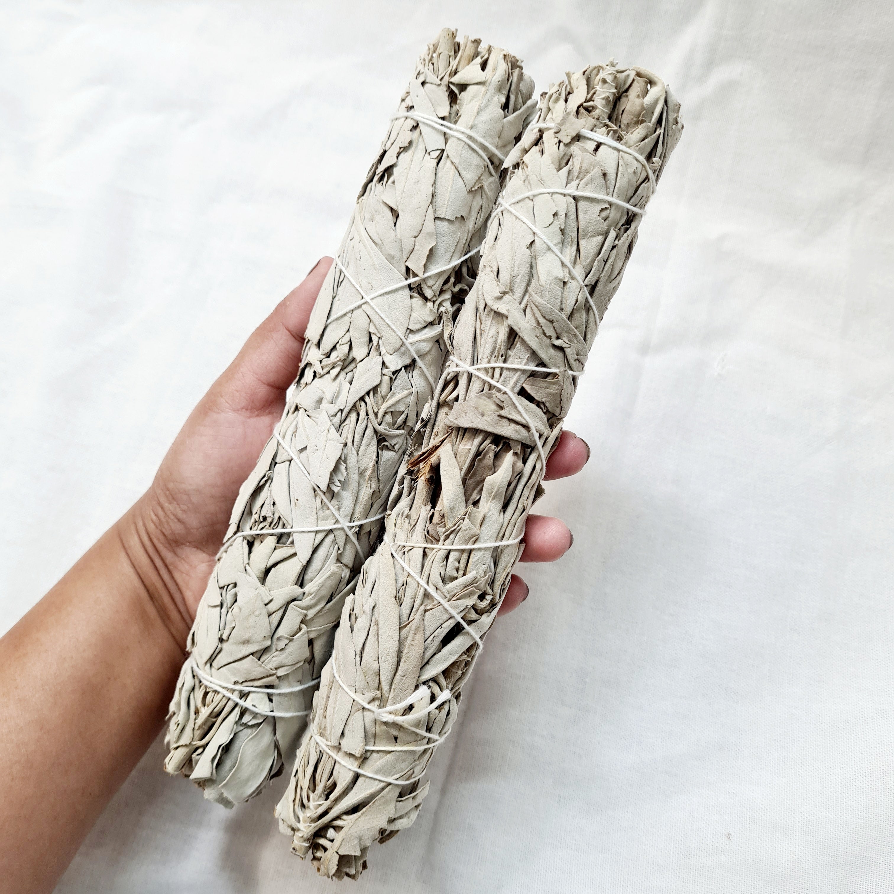 Californian white sage | 1 pc Jumbo | 21 Cm