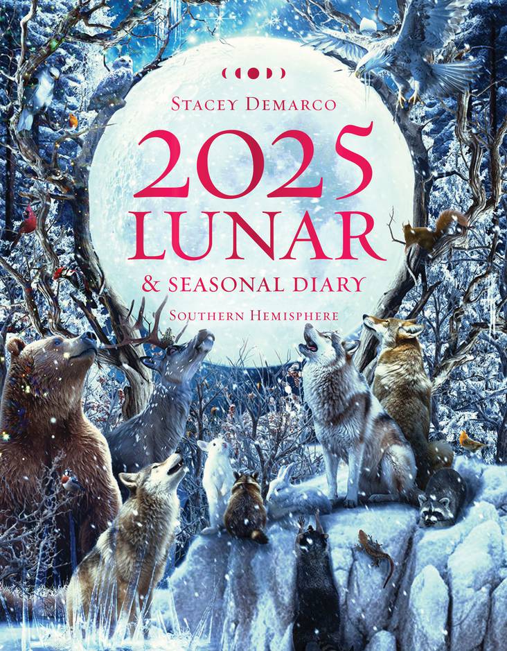 2025 Lunar and Seasonal Diary | Stacey Demarco