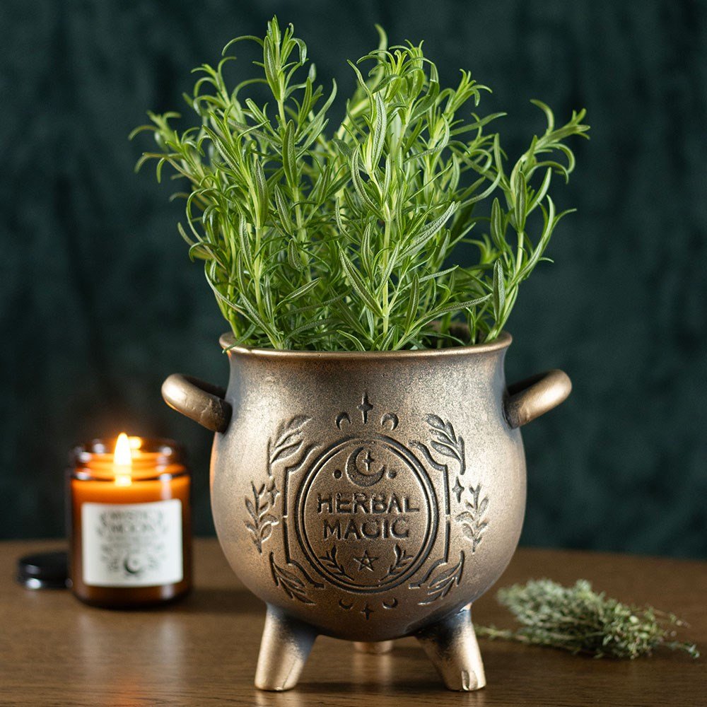Herbal Alchemy | Cauldron Planter