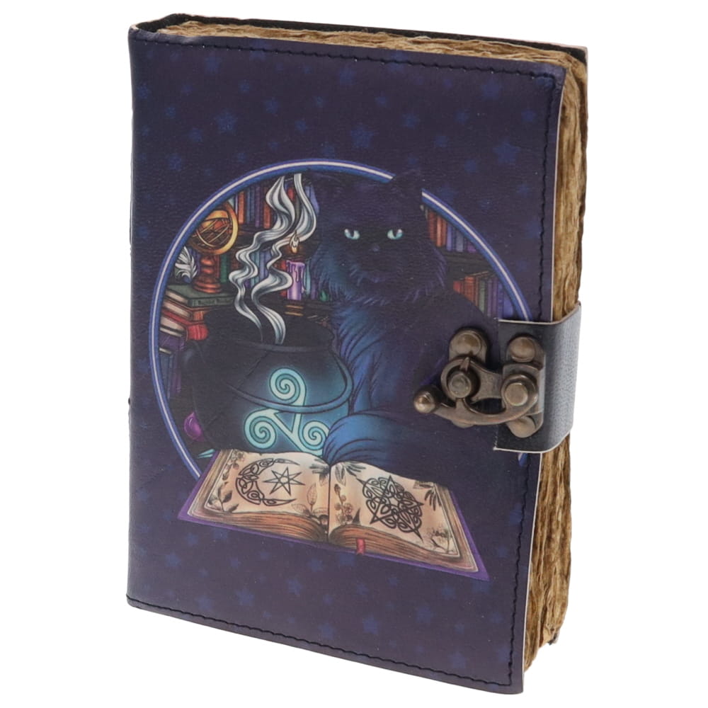 Cauldron Cat Print Leather Journal (12cm x 17cm)