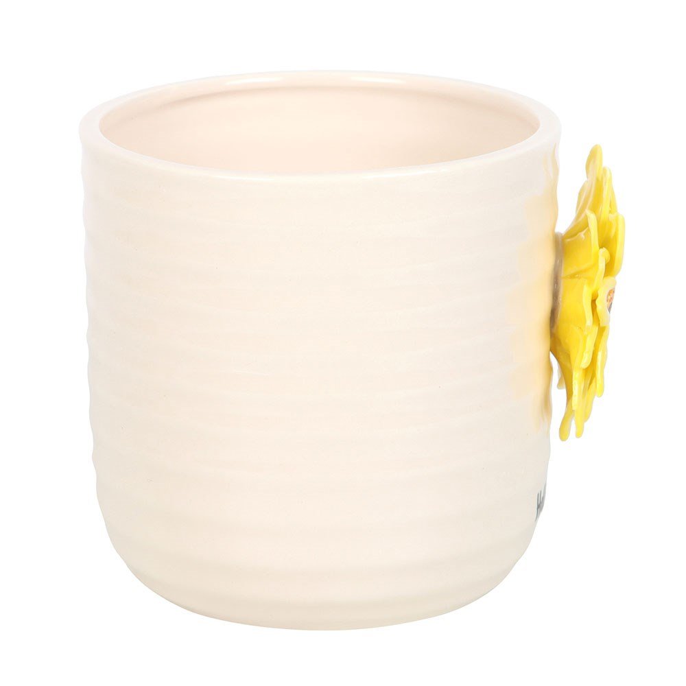 Hello Sunshine 3D Sunflower Plant Pot