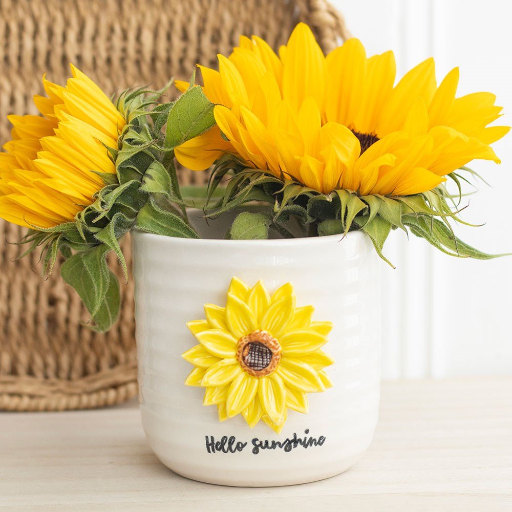 Hello Sunshine 3D Sunflower Plant Pot