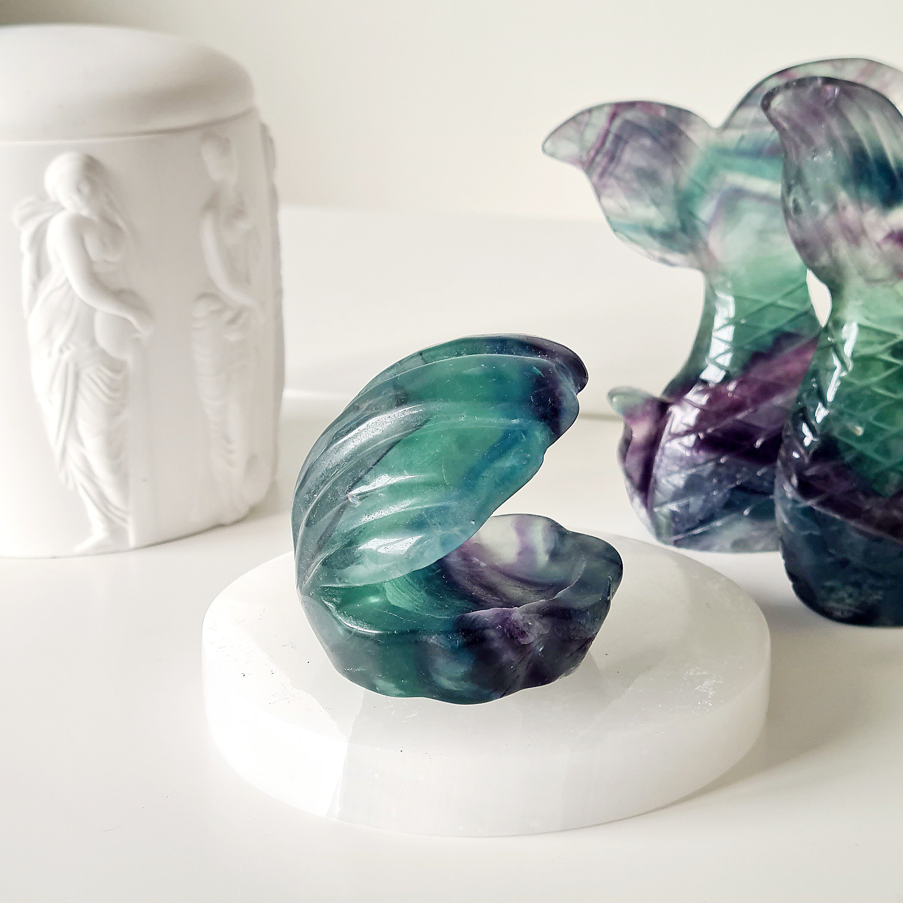 Mermaids Treasure Shell 🐚 | 2 | 6.5 cm