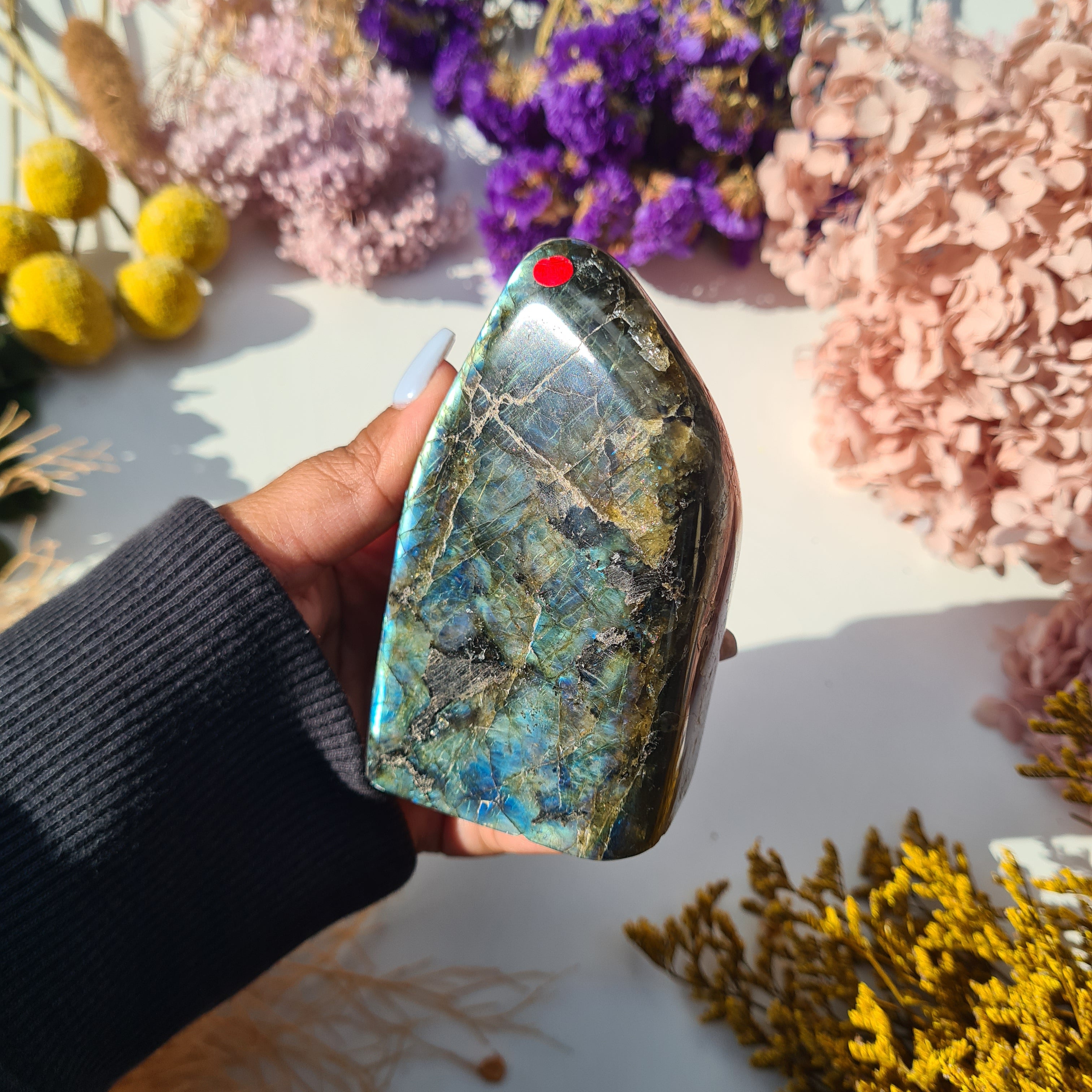 Labradorite Free Form | 402 g