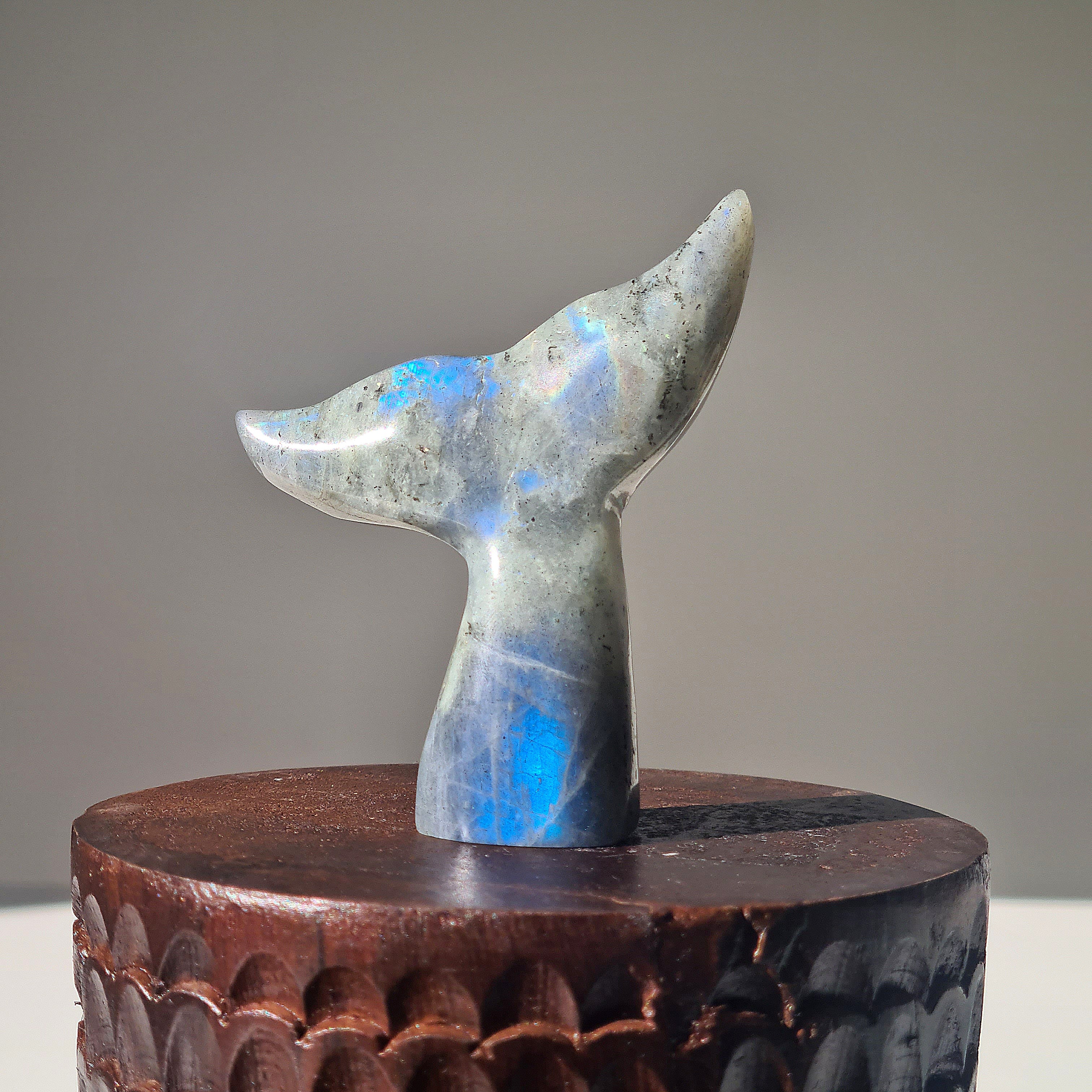 Labradorite Siren Tail | A | Small