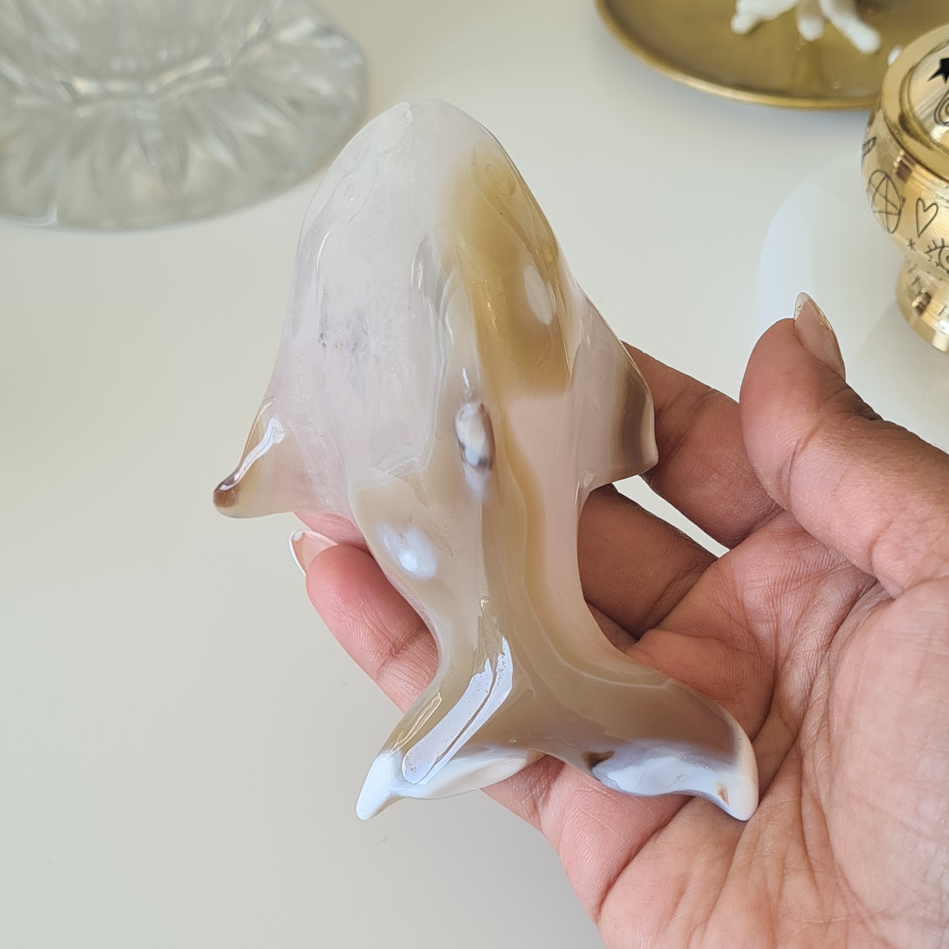 Orca Agate Shark (2)