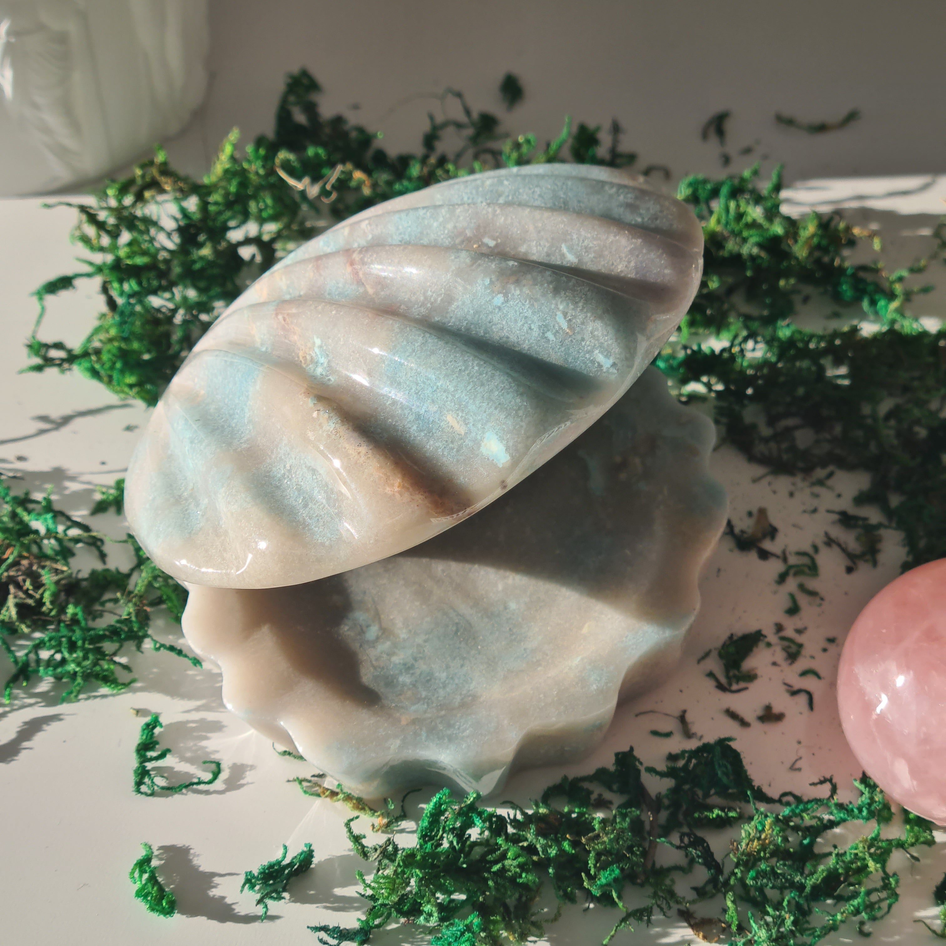 Mermaid Shell| Trolleite Crystal | 830 g