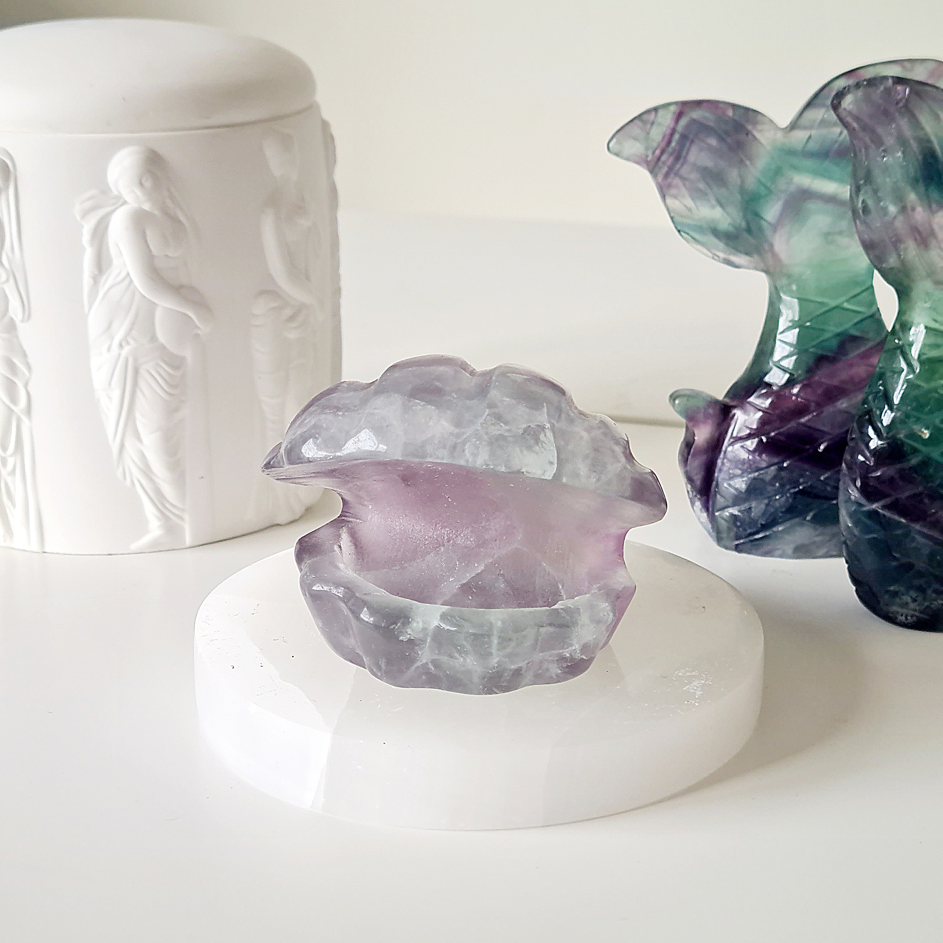 Mermaids Treasure Shell 🐚 | 8 | 7 cm