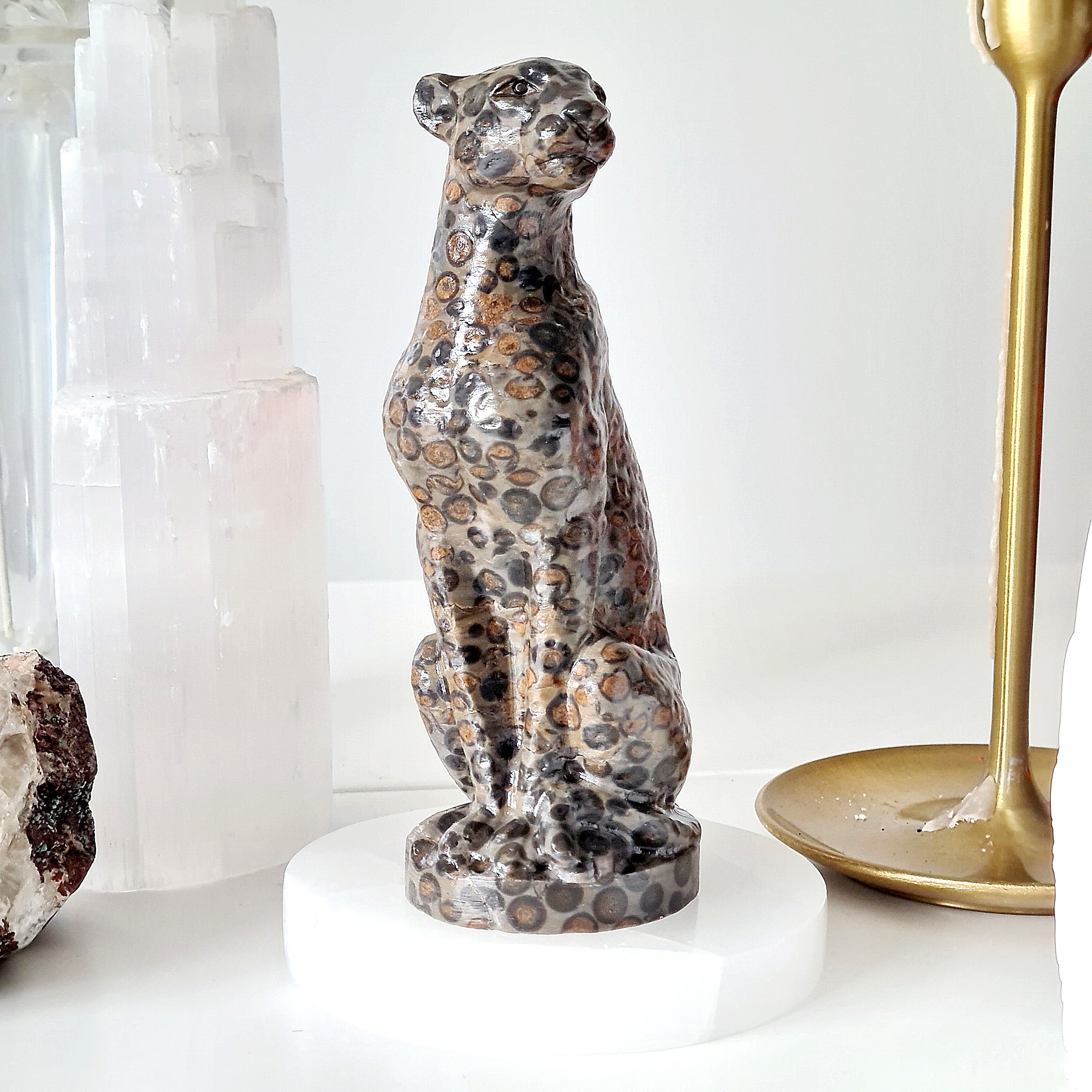 Jasper Leopard 🐆 | Earth Energy | 517 g