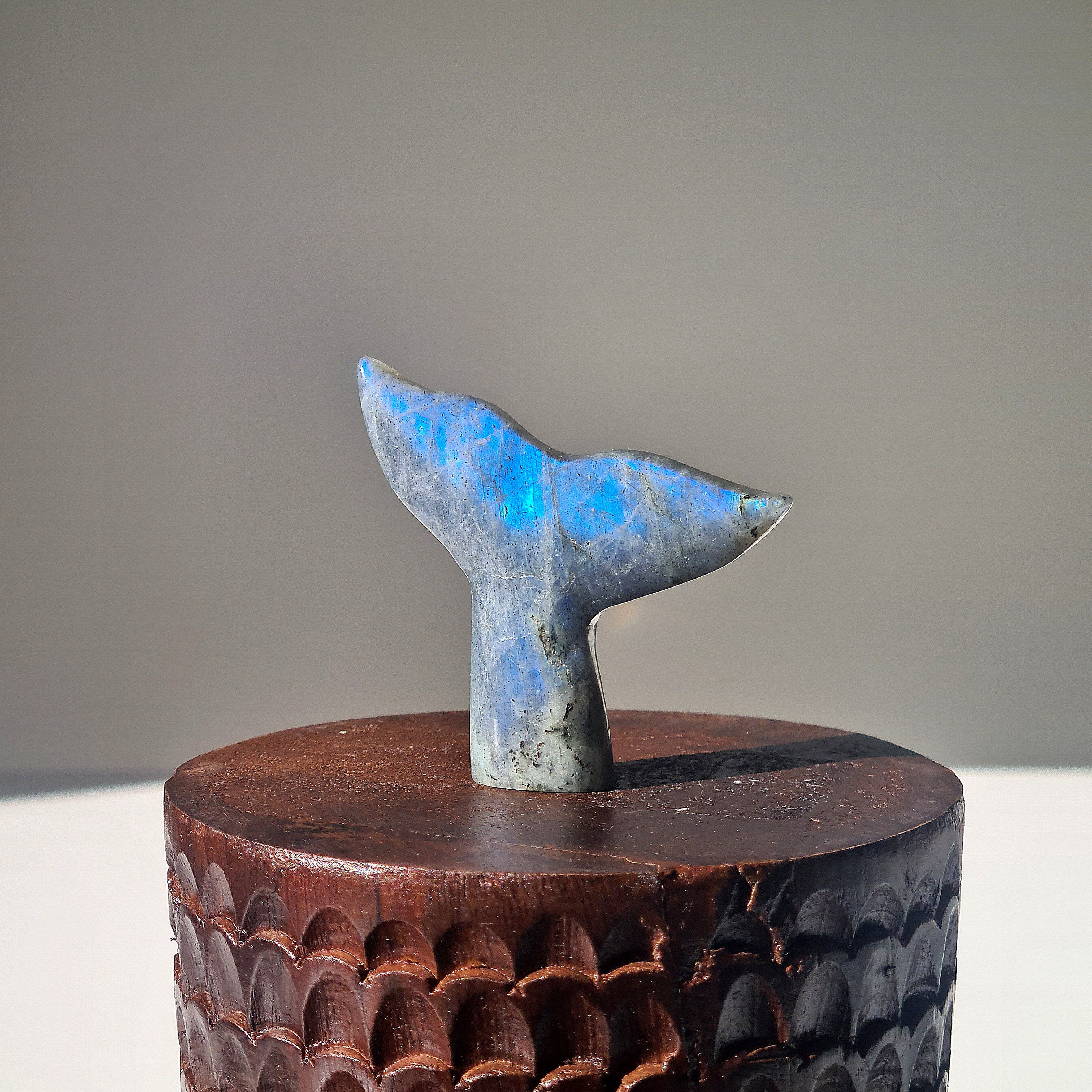 Labradorite Siren Tail | D | Small
