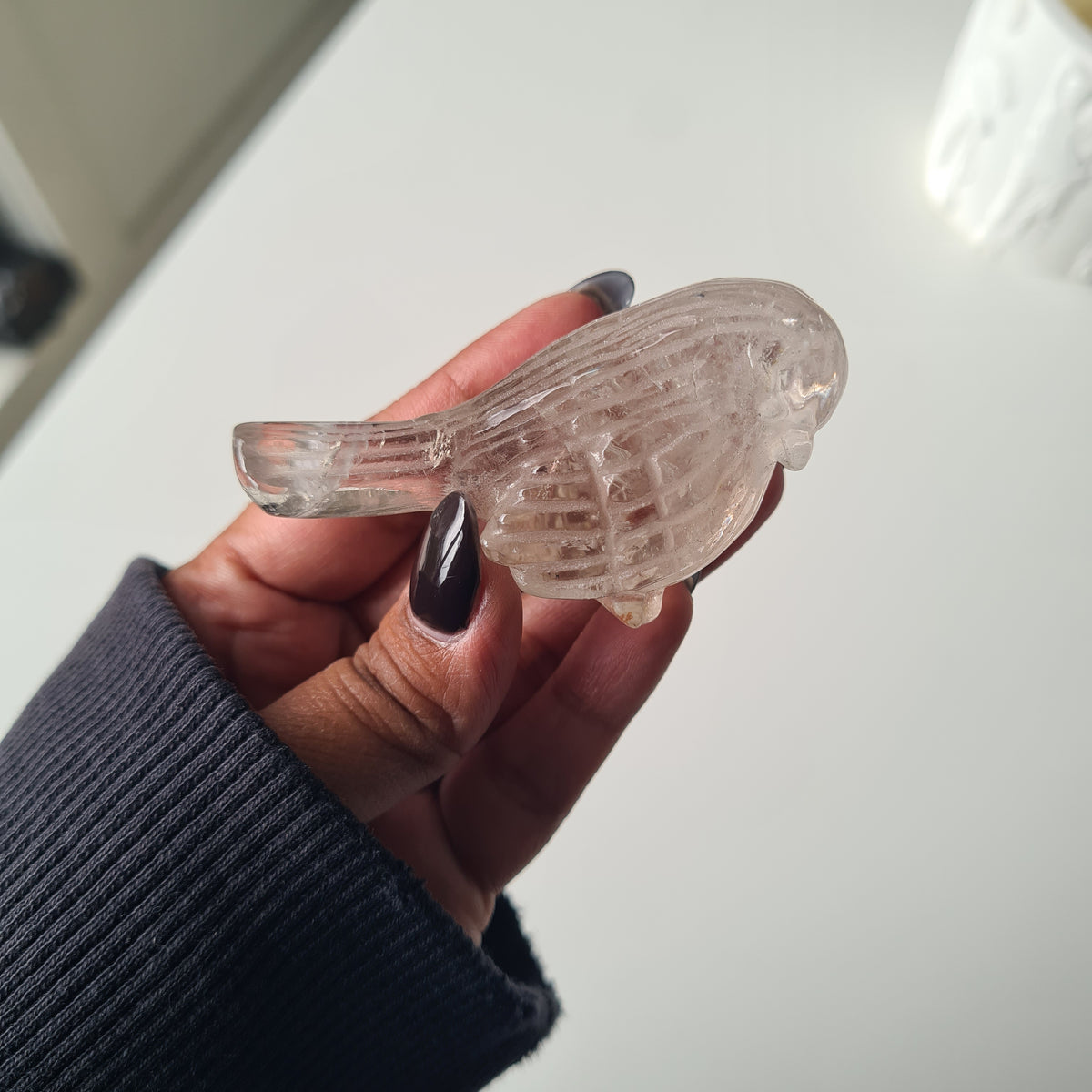 Clear quartz Crystal Bird