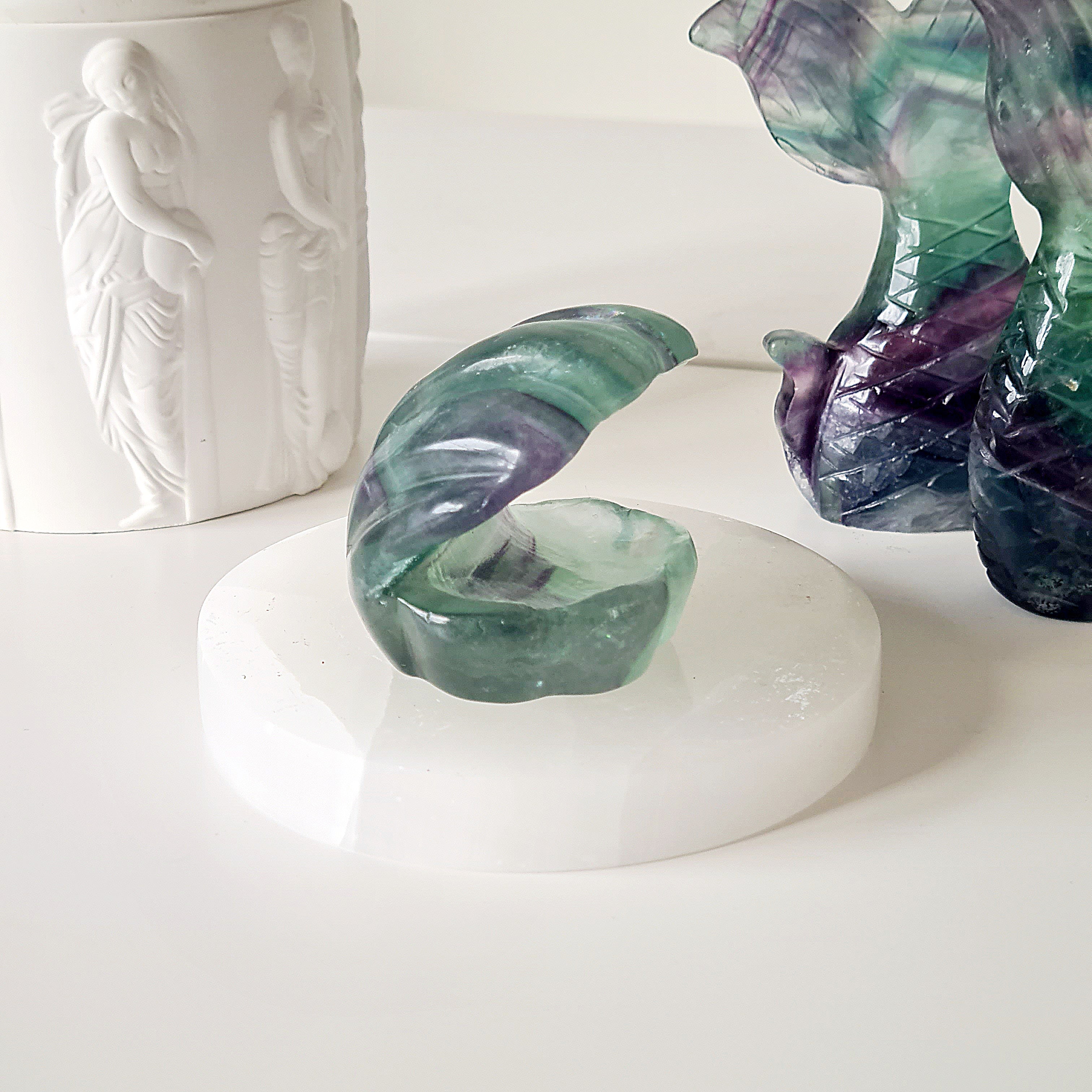 Mermaids Treasure Shell 🐚 | 6 | 6 cm