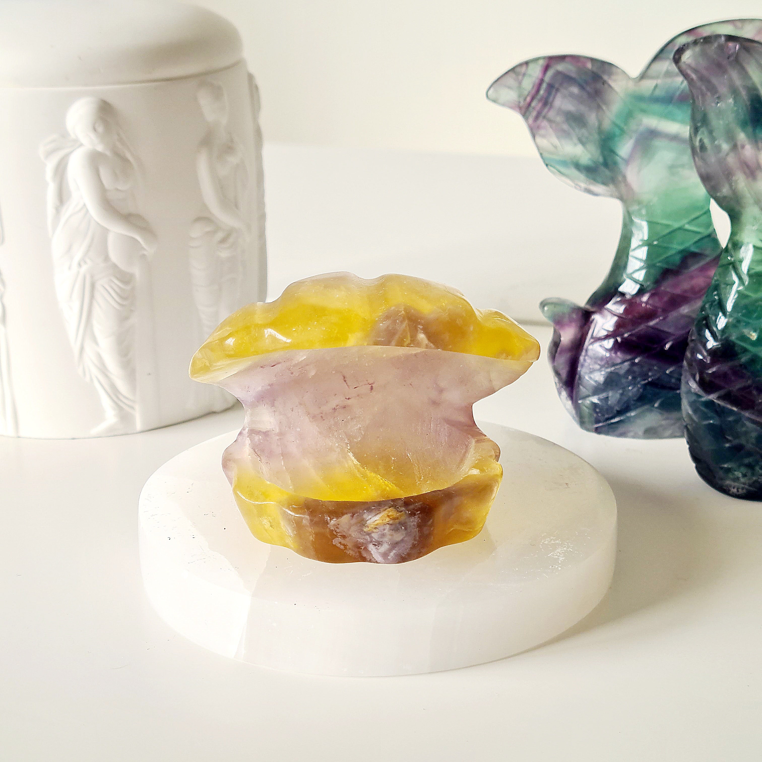 Mermaids Treasure Shell 🐚 | 3 | 7 cm