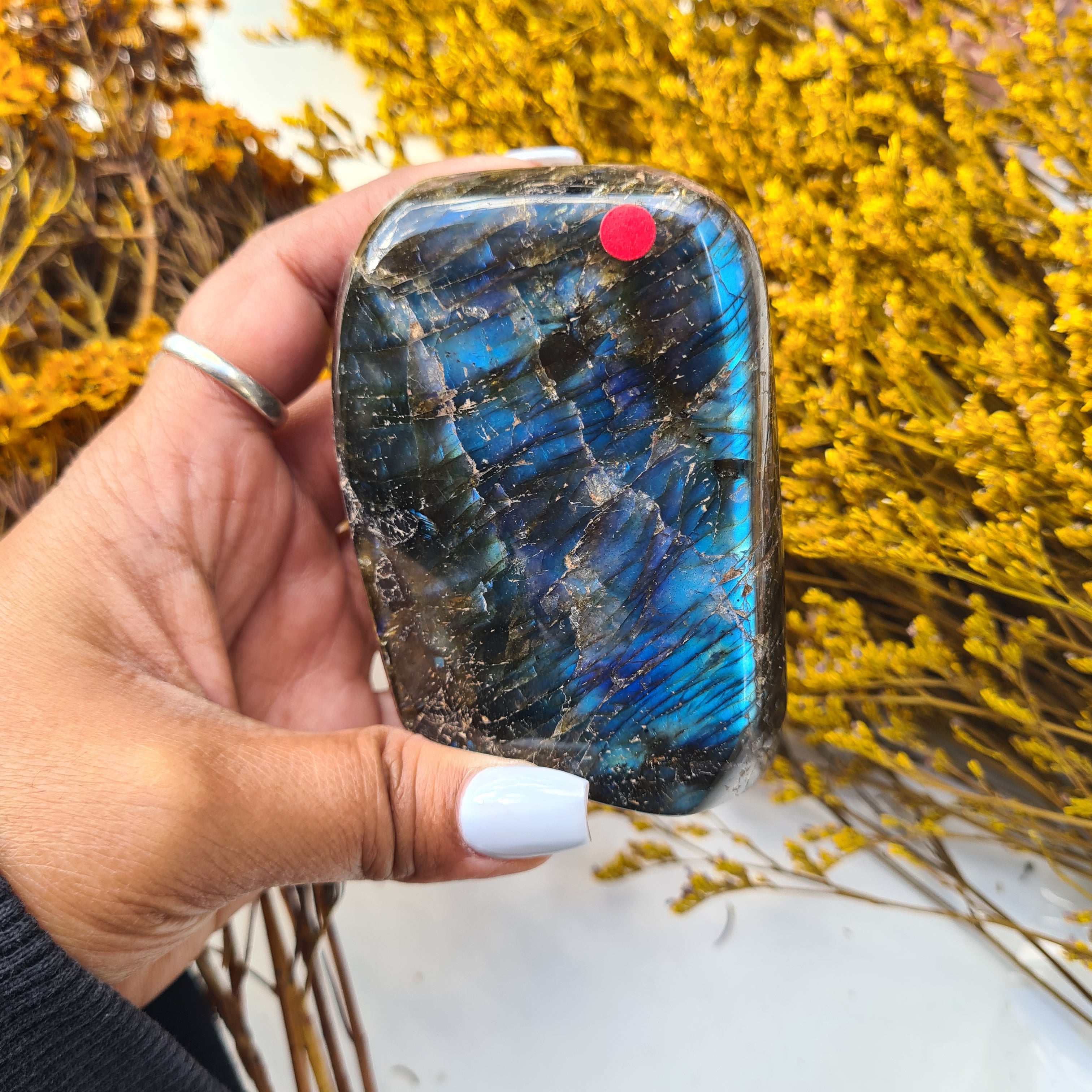 Labradorite Free Form | 360 g