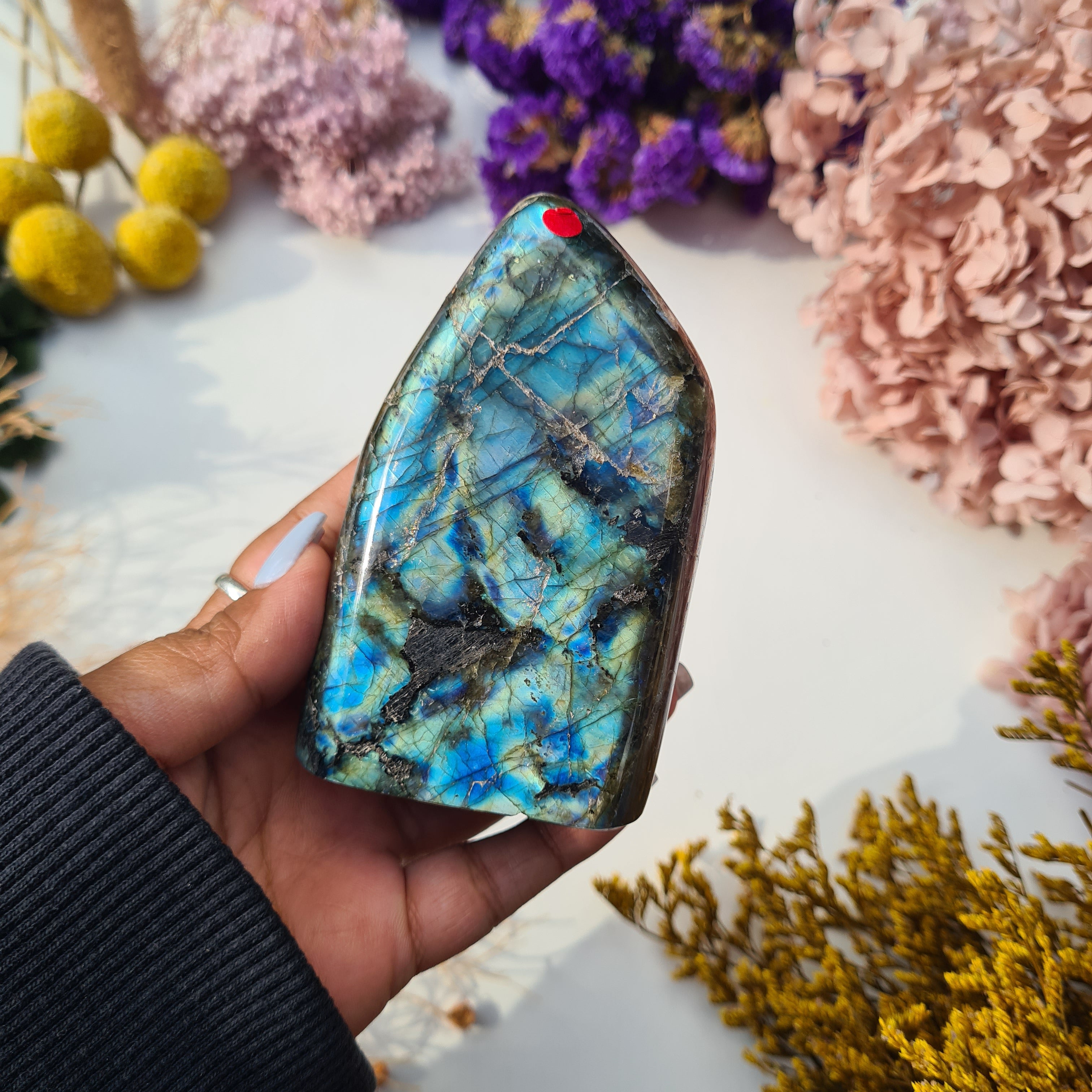Labradorite Free Form | 402 g