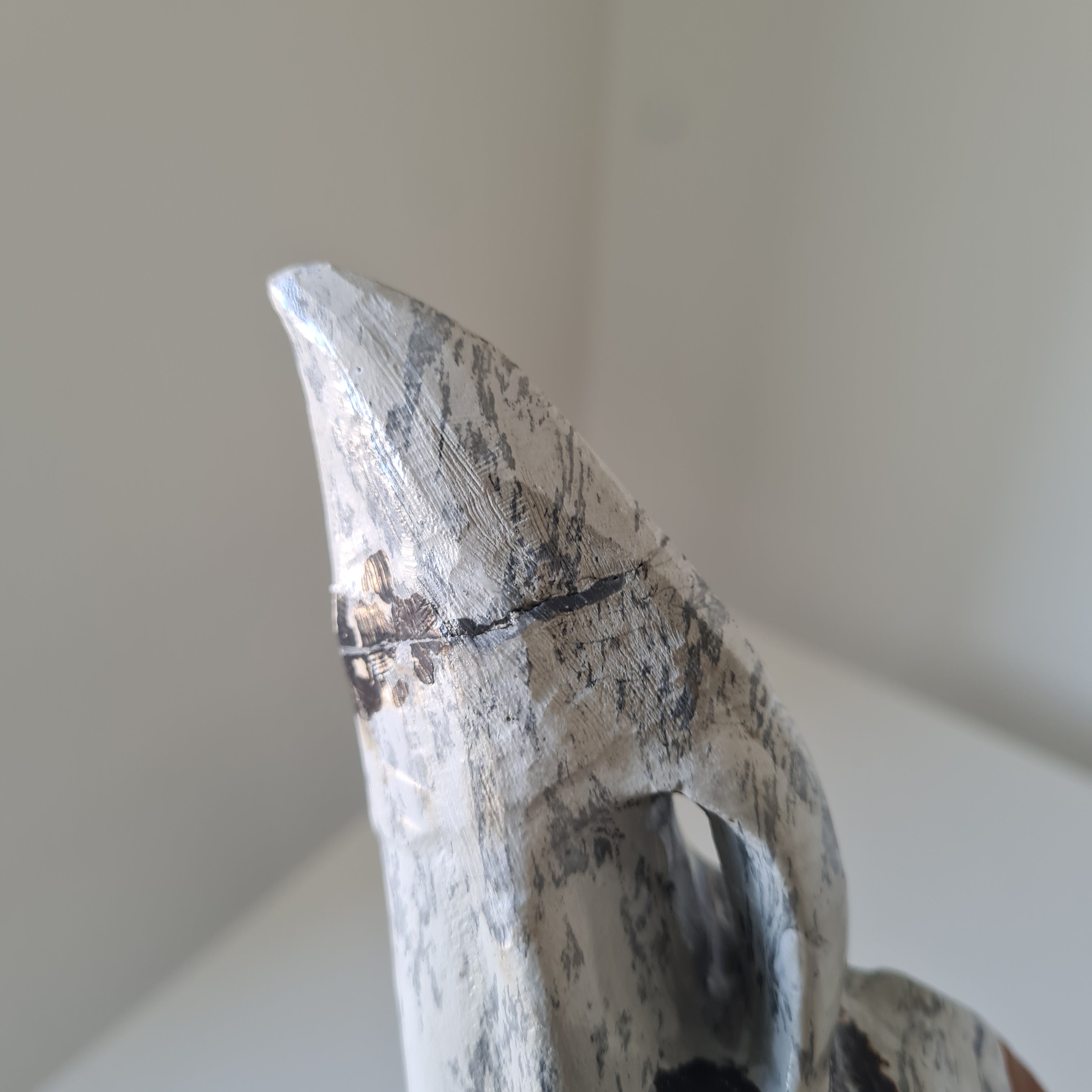 Mystic Picture Jasper Raven Skull | 14 cm | 400 g