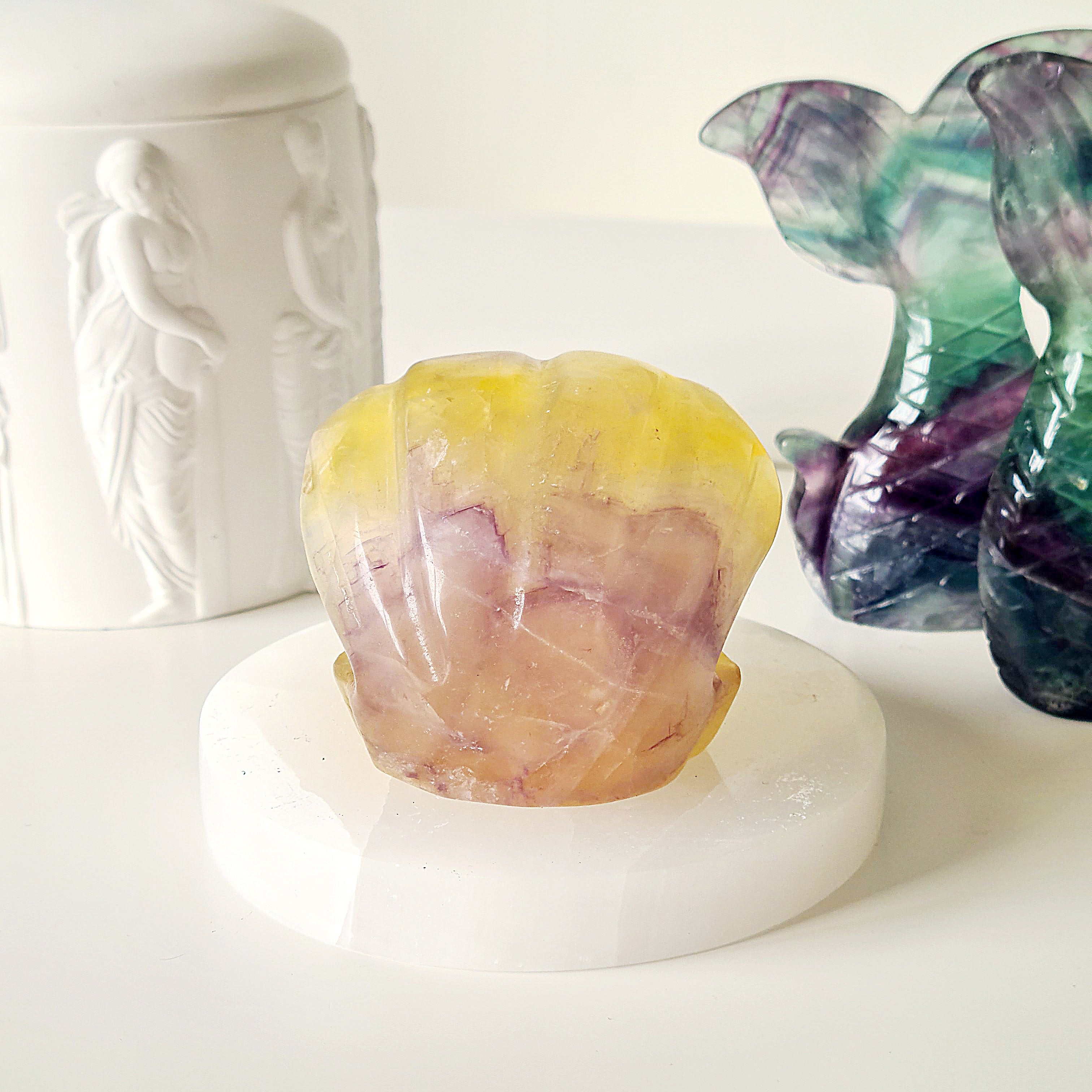 Mermaids Treasure Shell 🐚 | 3 | 7 cm