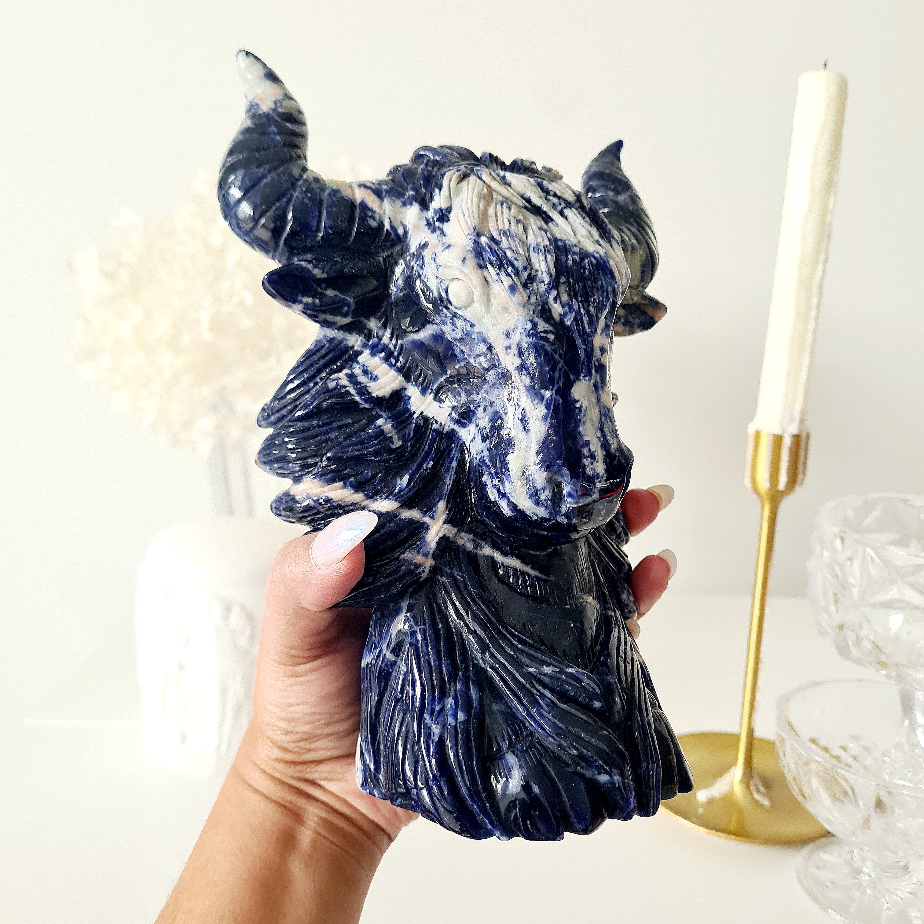 🦬 Sodalite Bison | Strength & Power | 1.6 kg