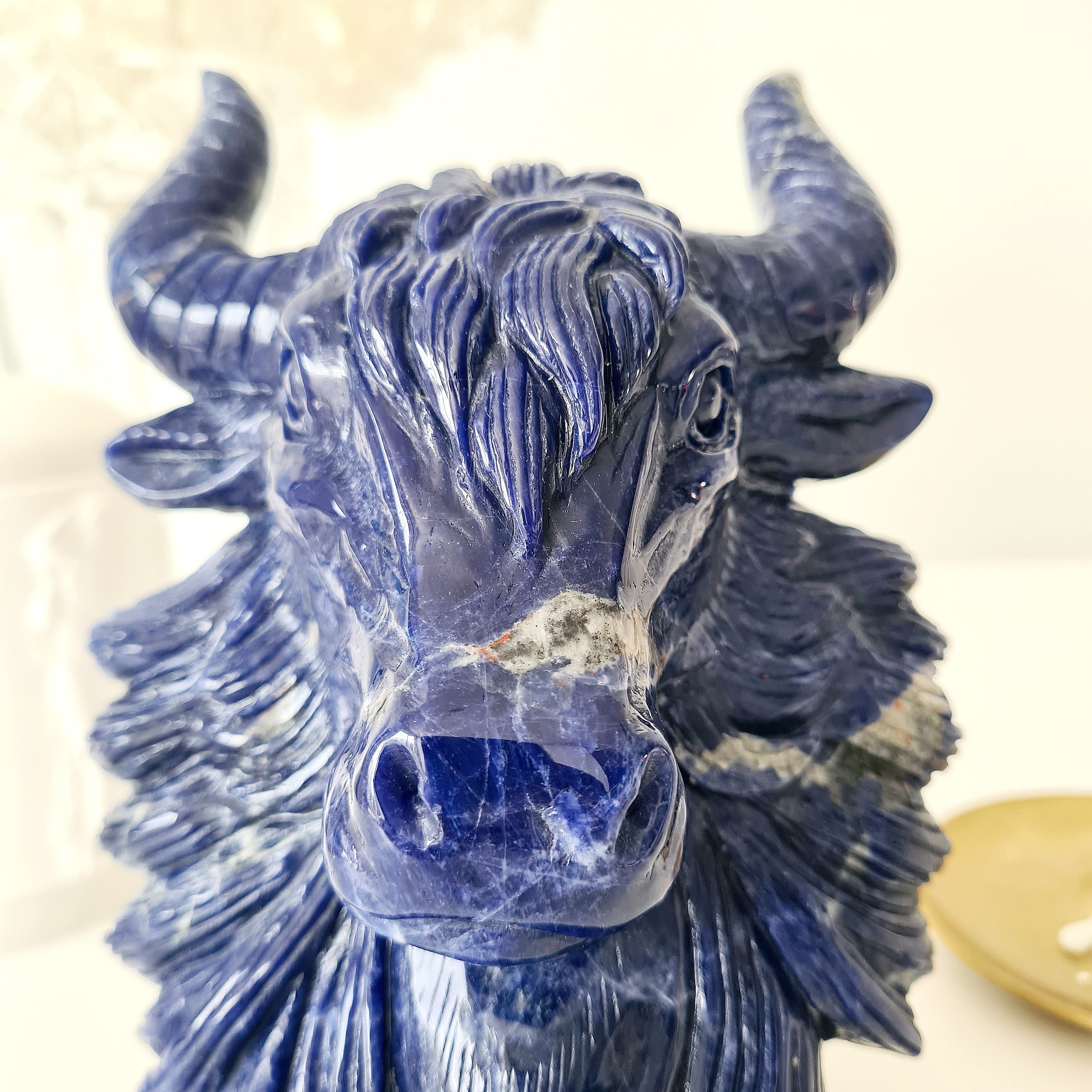 🦬 Sodalite Bison | Strength & Power | 1.9 kg