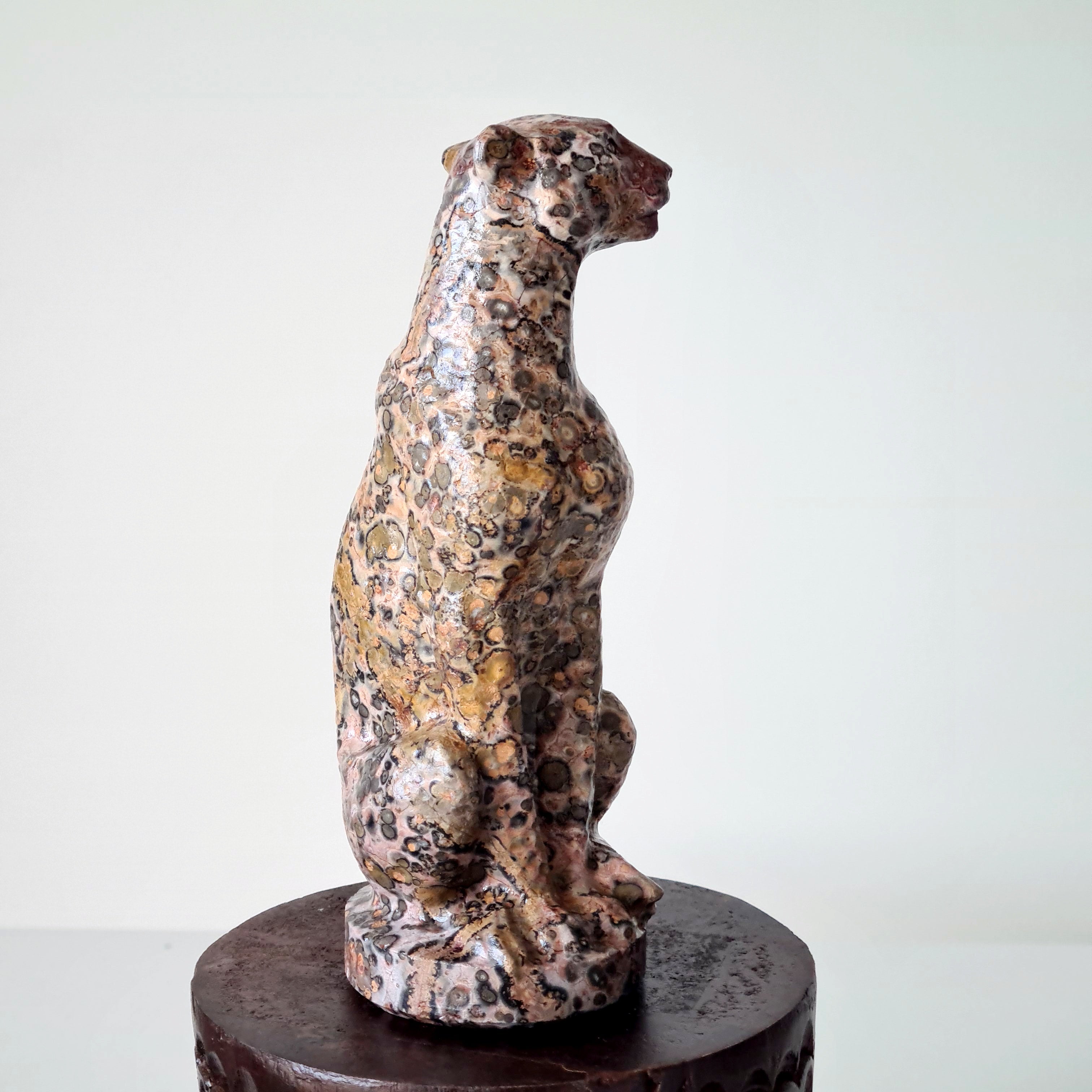 Jasper Leopard 🐆 | Earth Energy
