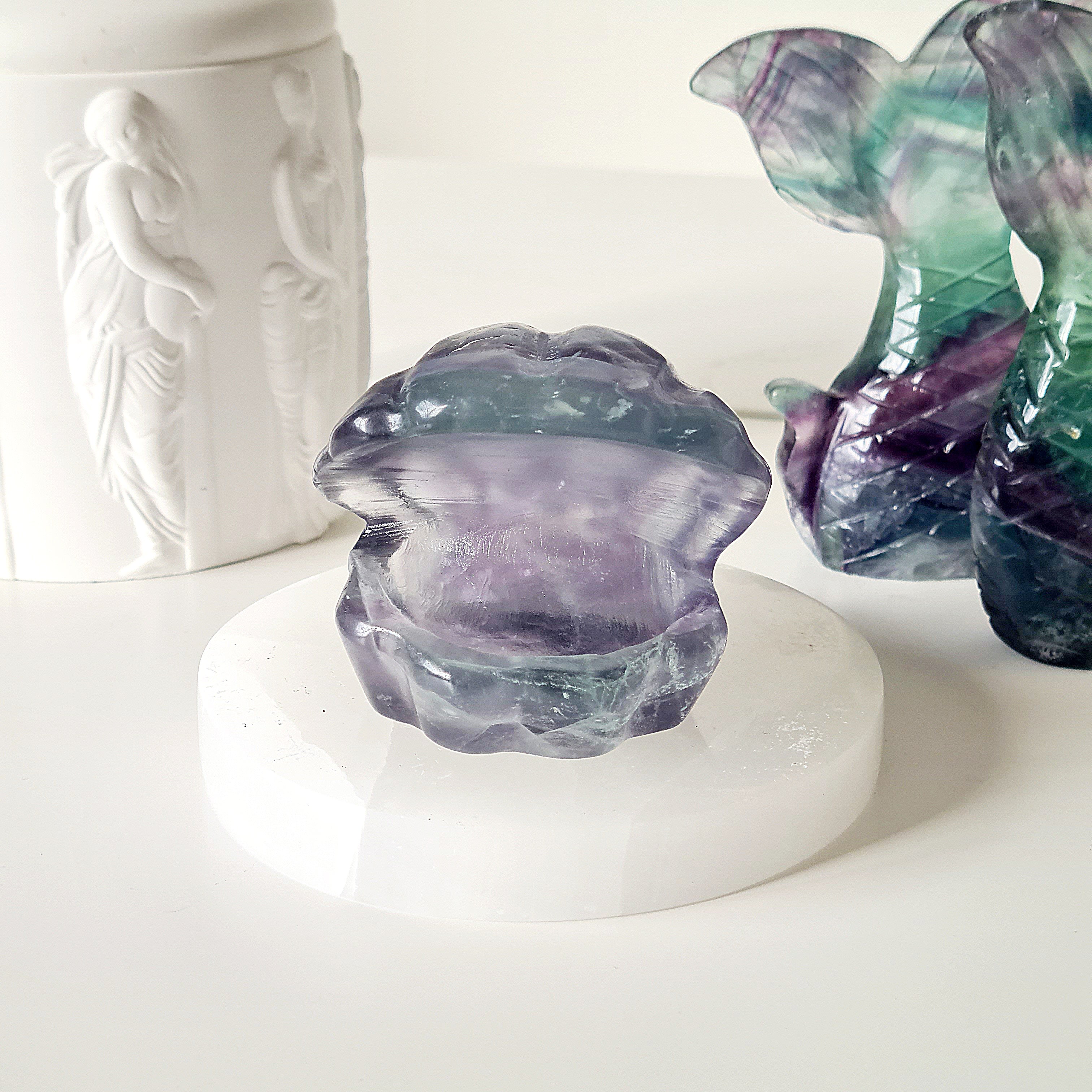 Mermaids Treasure Shell 🐚 | 4 | 6.5 cm