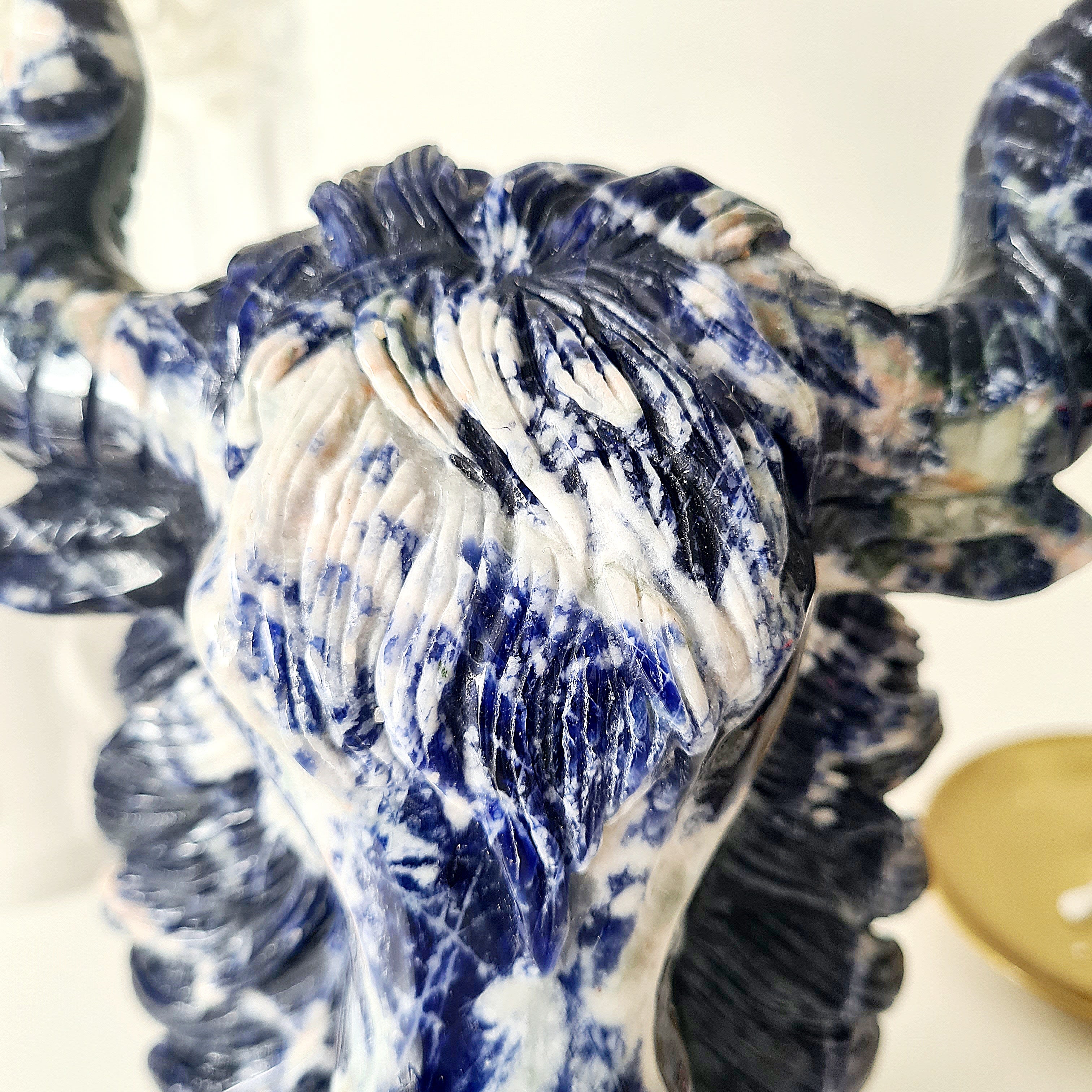 🦬 Sodalite Bison | Strength & Power | 1.6 kg