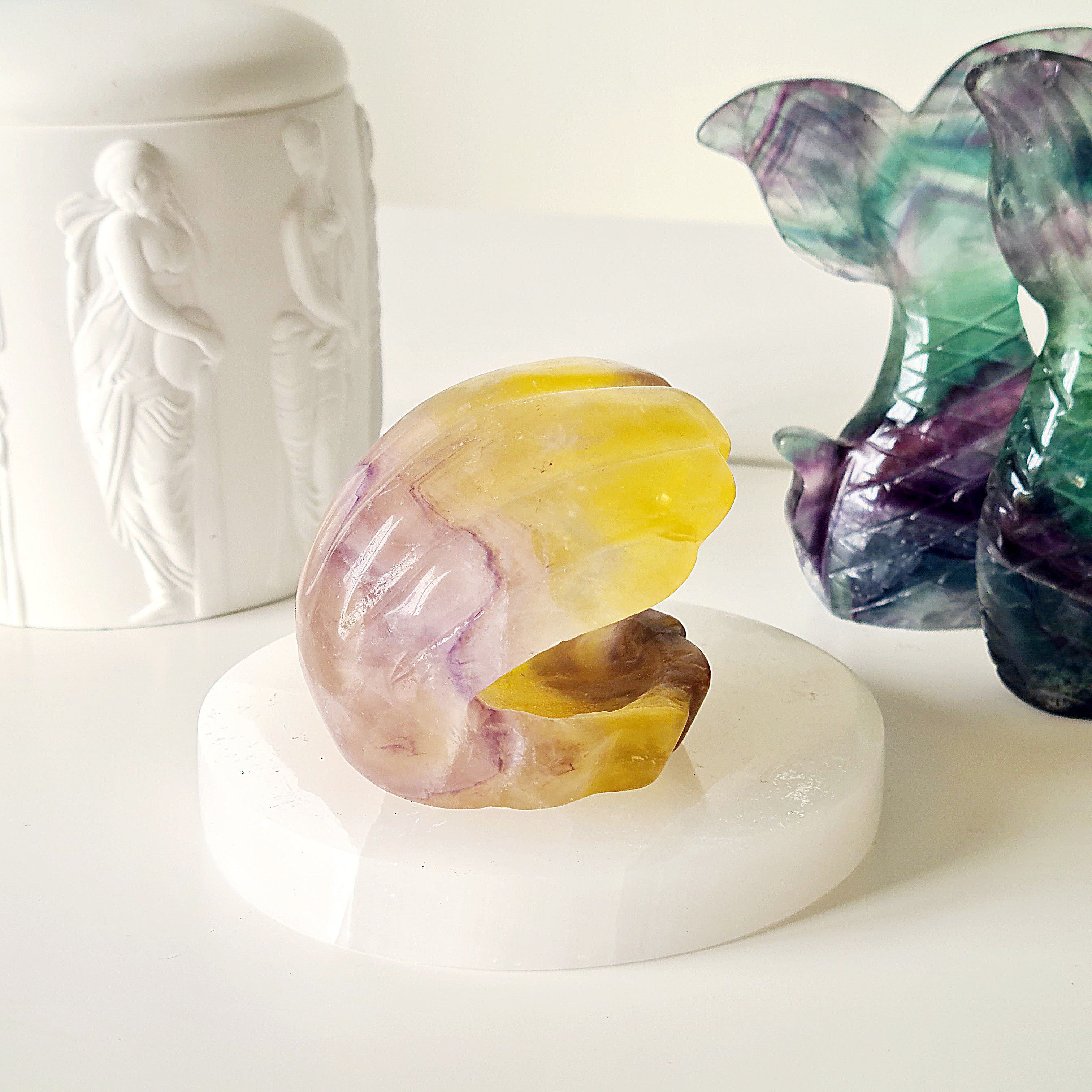 Mermaids Treasure Shell 🐚 | 3 | 7 cm