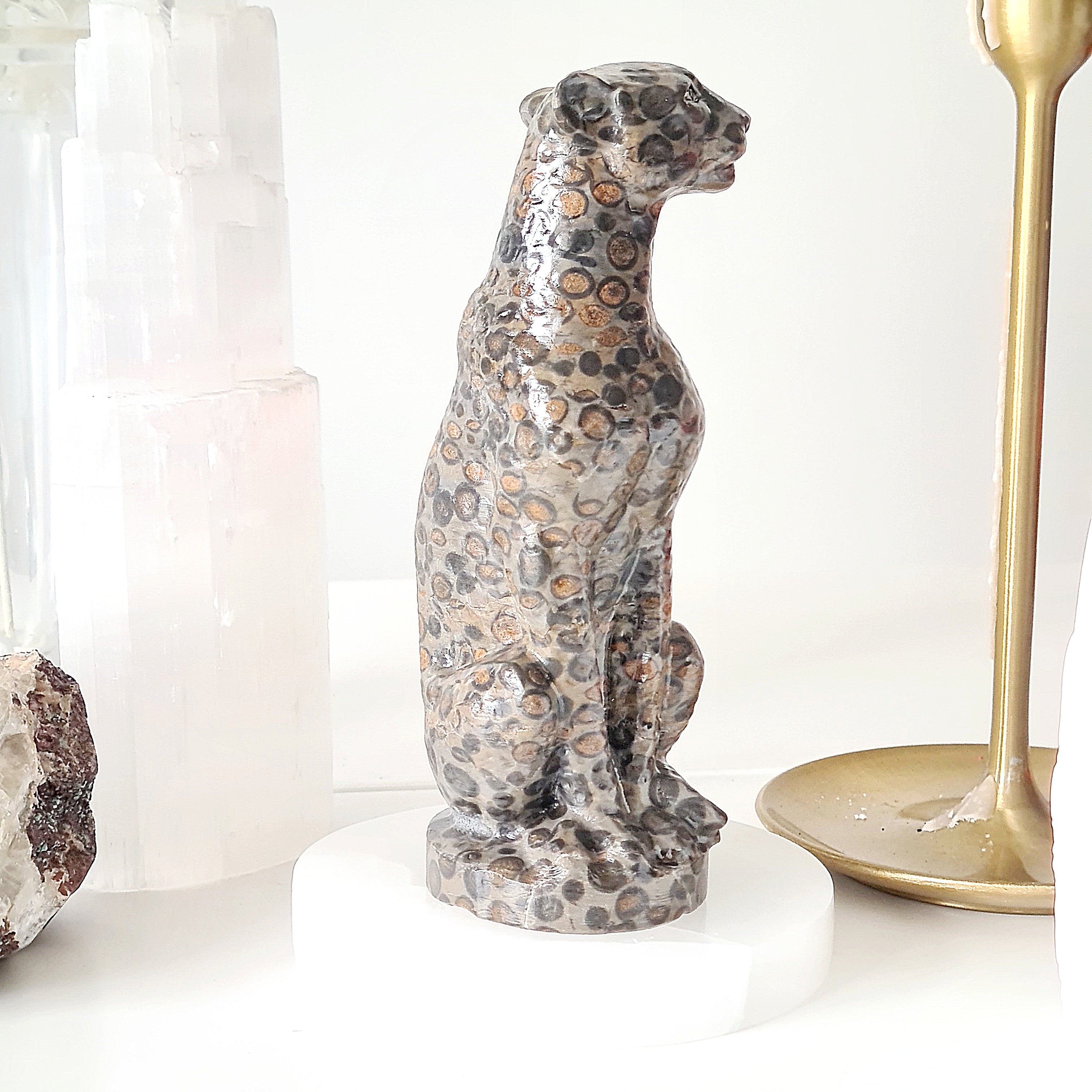 Jasper Leopard 🐆 | Earth Energy | 517 g