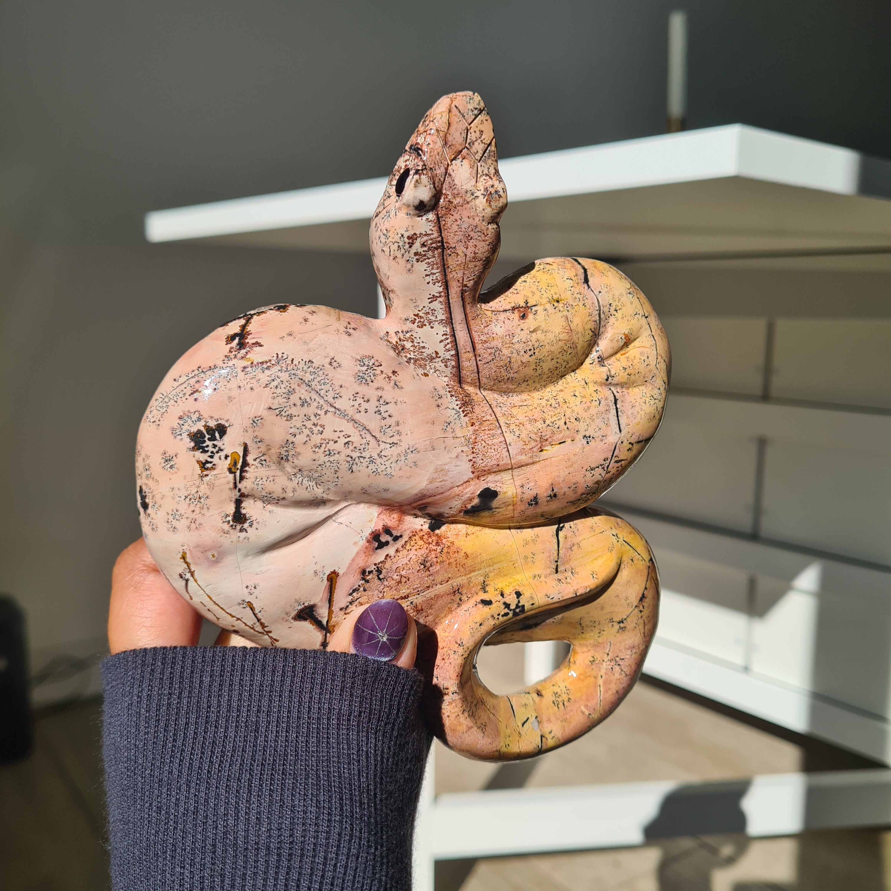 Picture Jasper Serpent | A | 538 g | 16 cm