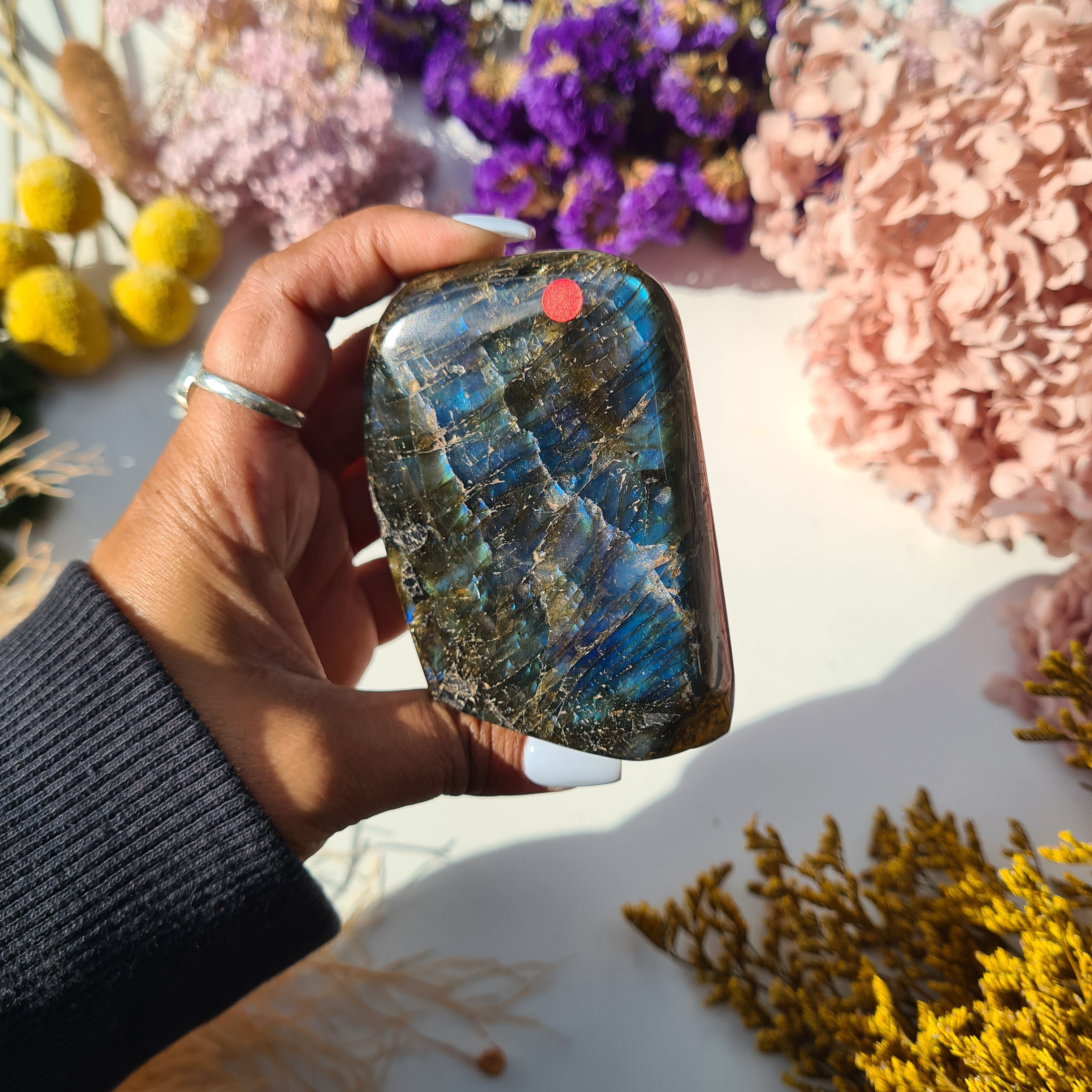 Labradorite Free Form | 360 g