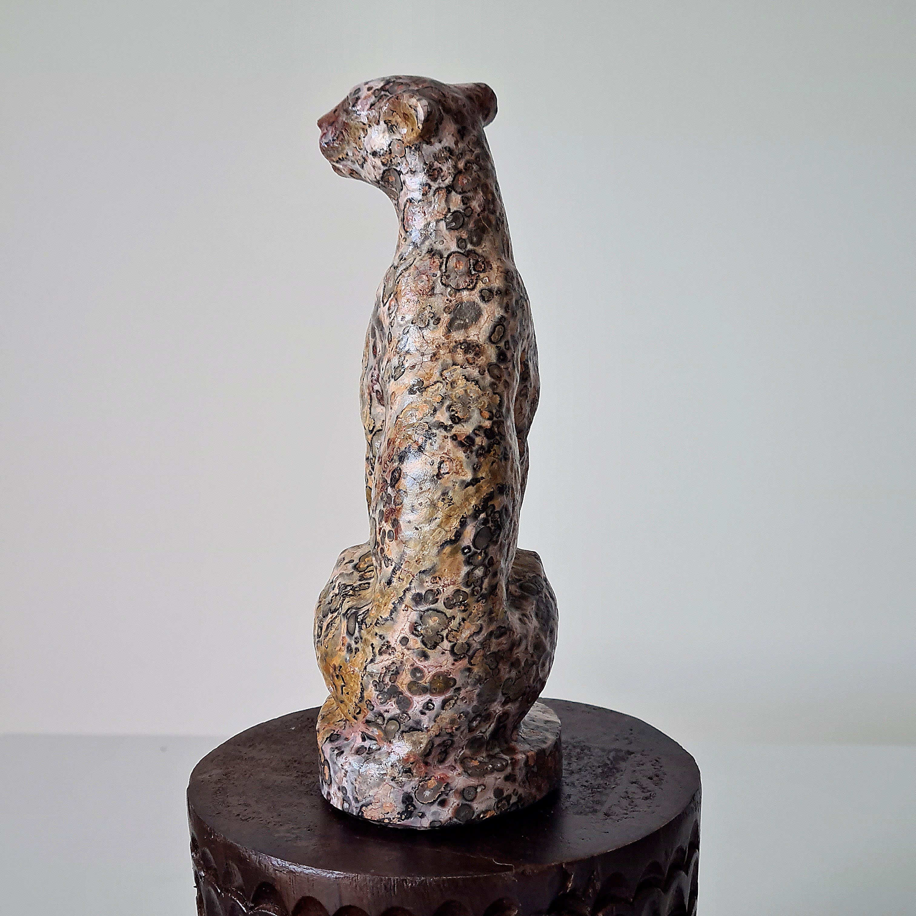 Jasper Leopard 🐆 | Earth Energy